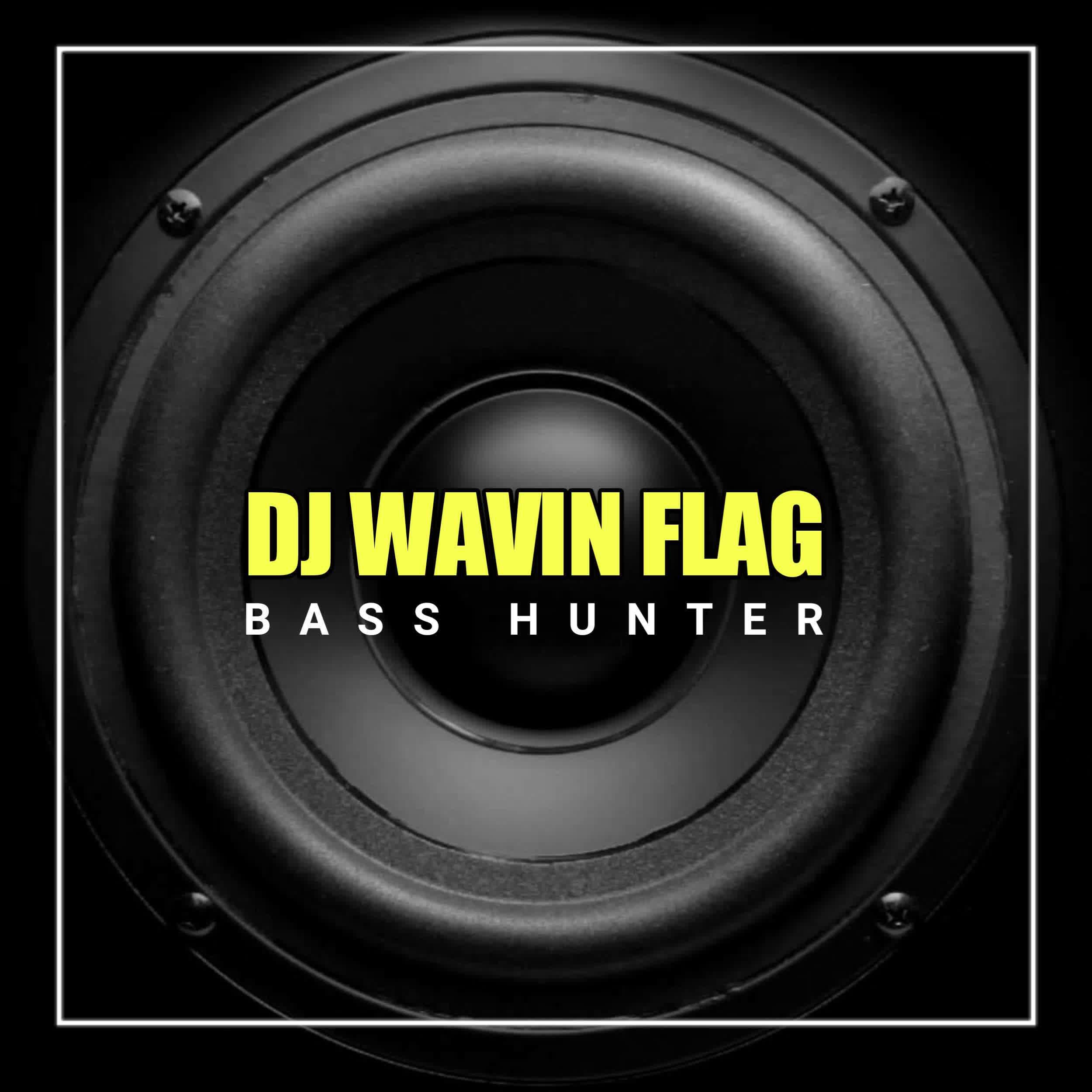 Релиз DJ Wafin Flag Bass Hunter