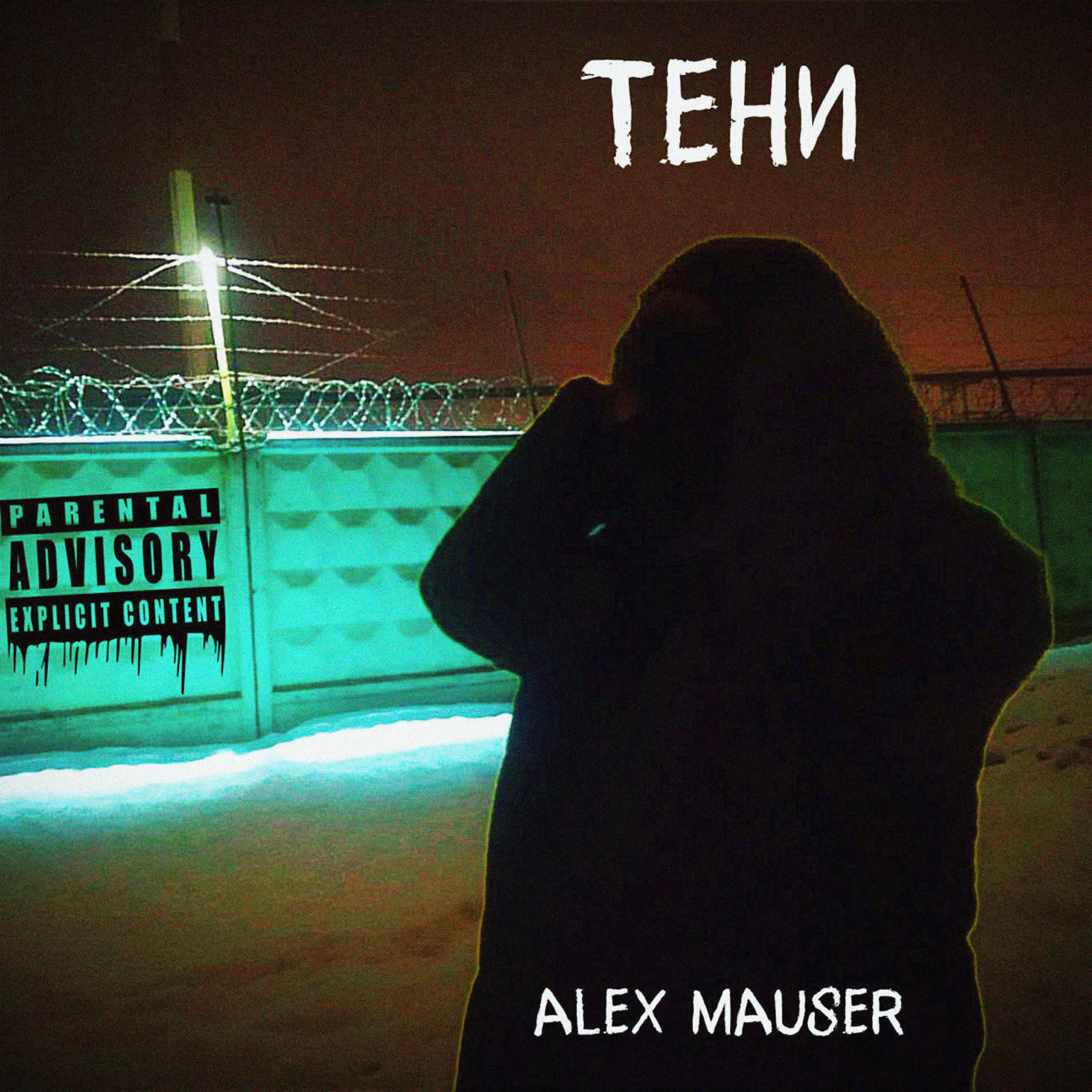 Релиз Тени