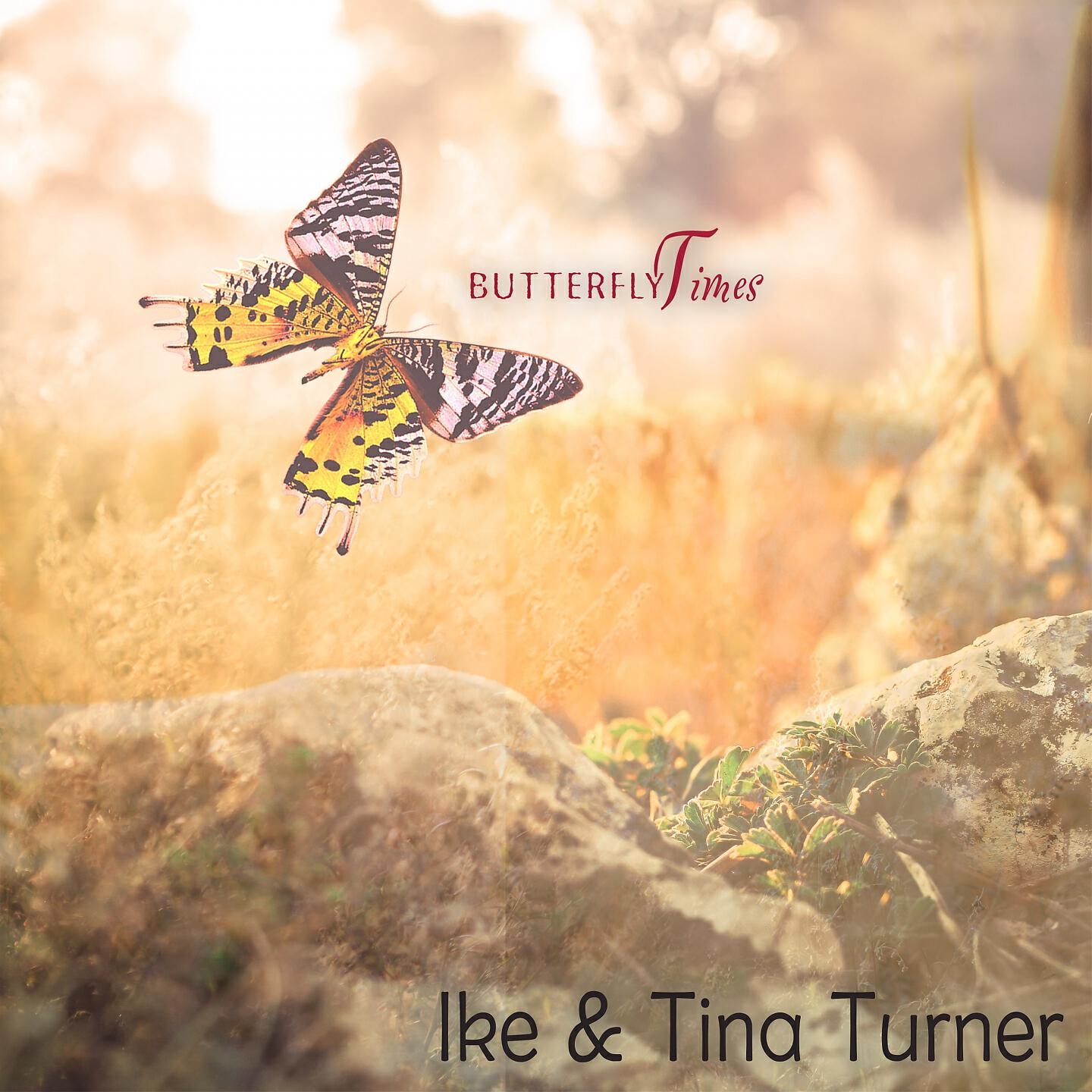 Релиз Butterfly Times