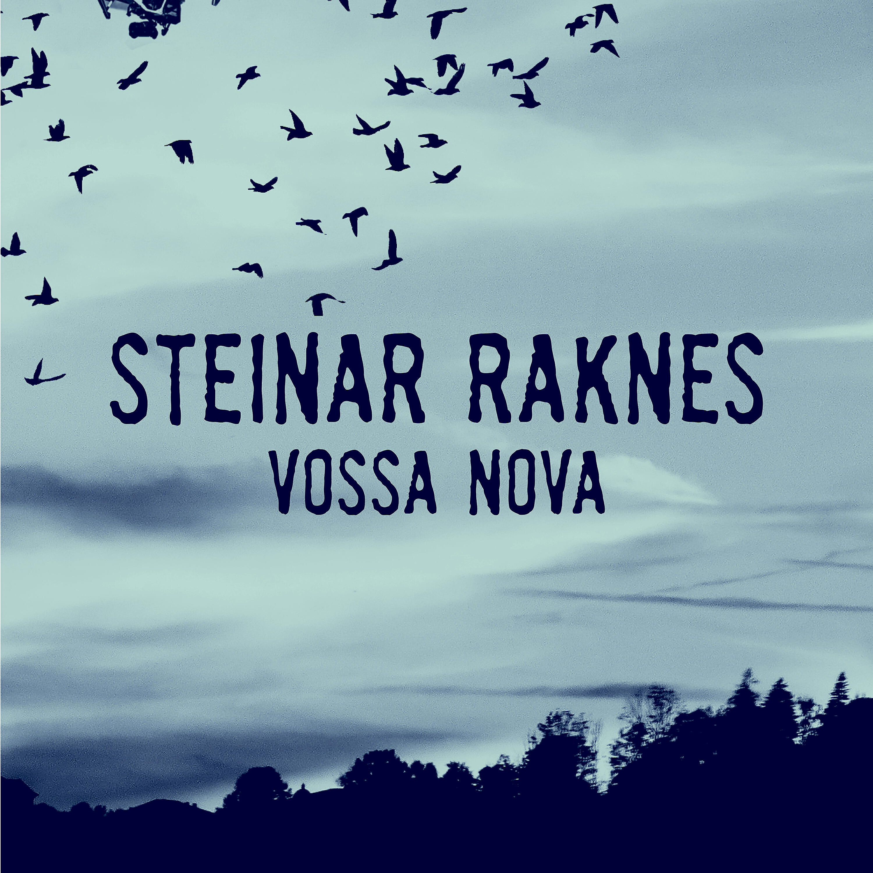 Релиз Vossa Nova