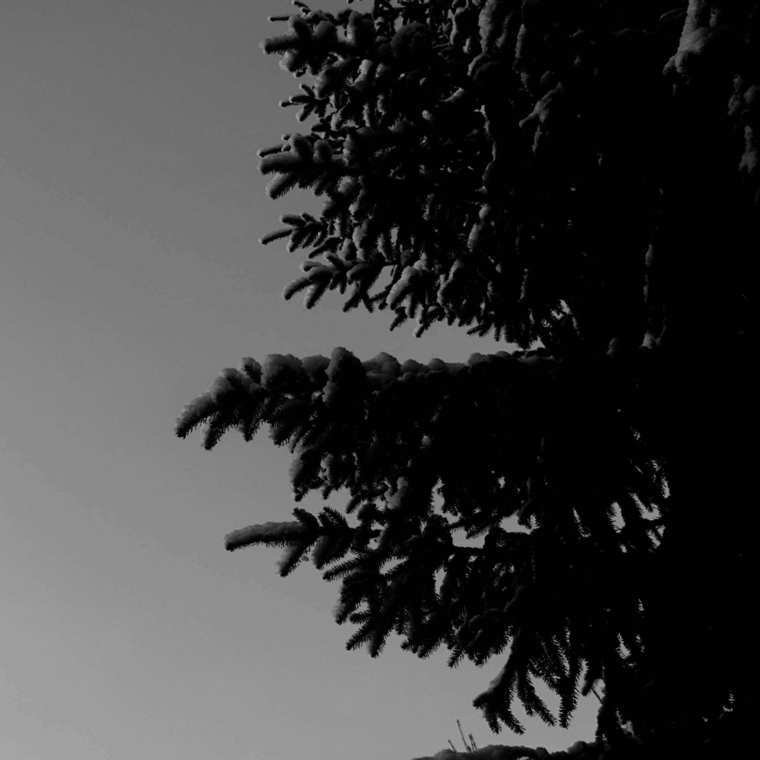 Релиз Nothing