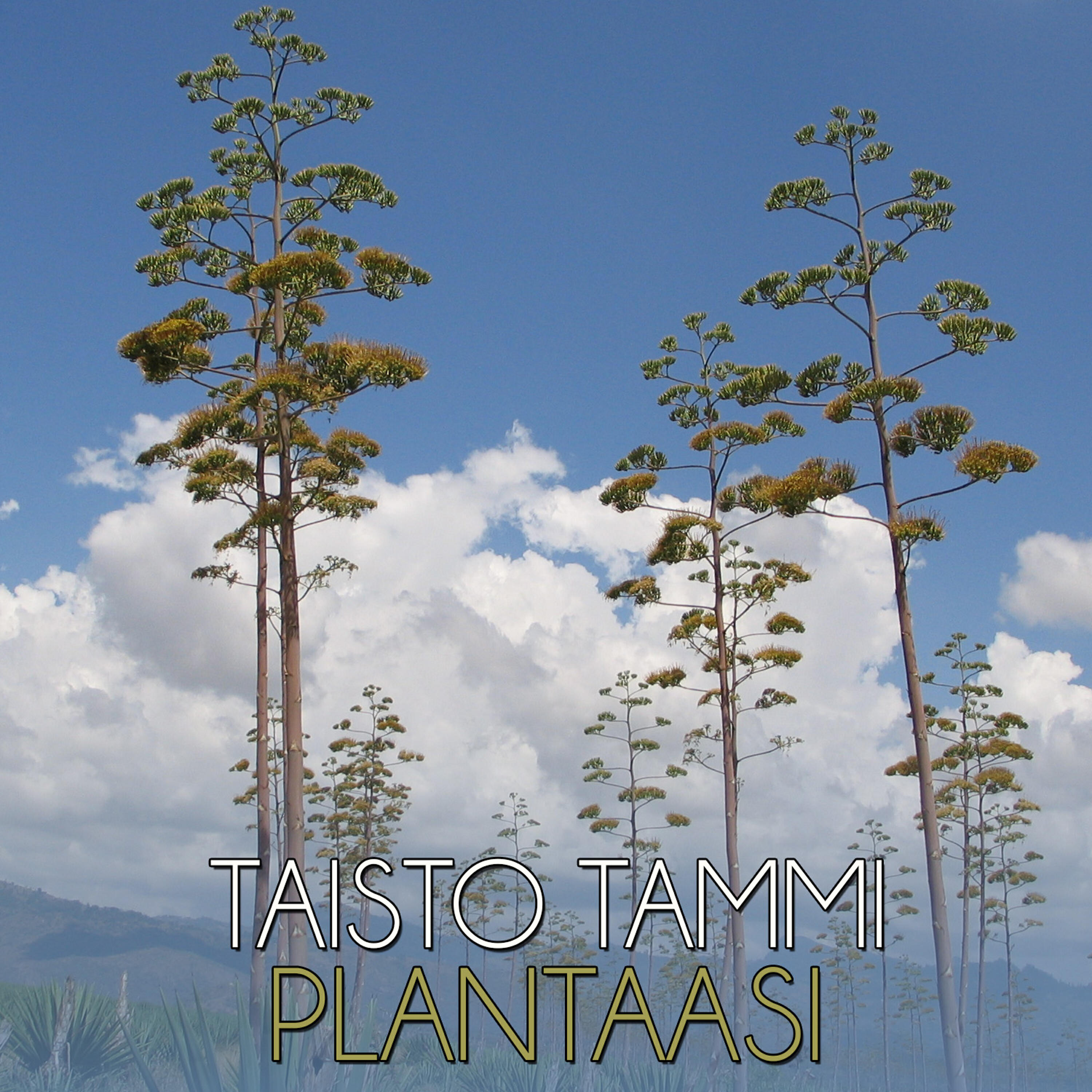 Релиз Plantaasi