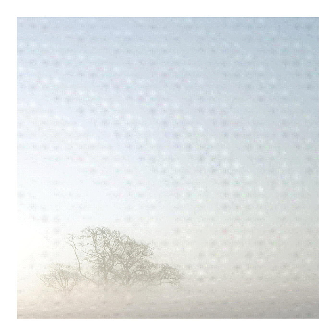 Релиз Aroma Trace