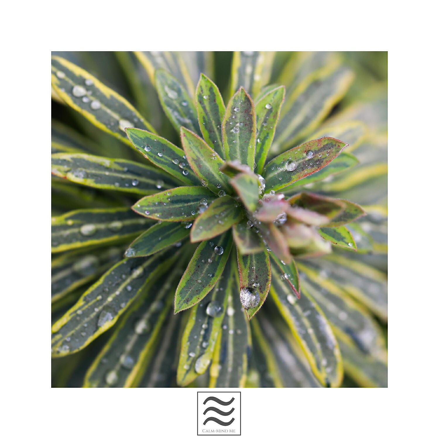 Релиз Calm Snug Raining Sounds
