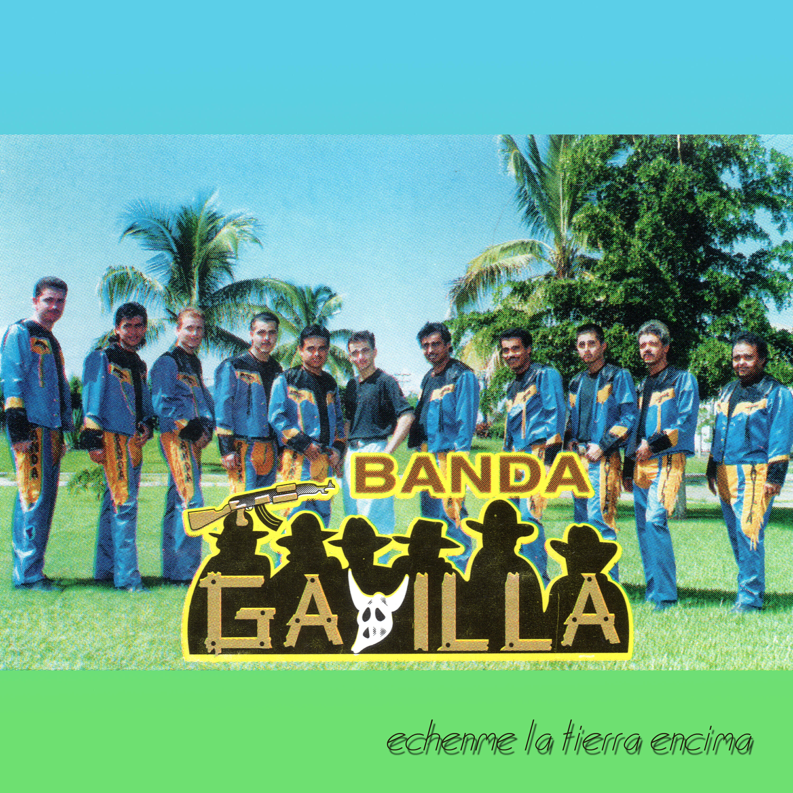 Banda Gavilla