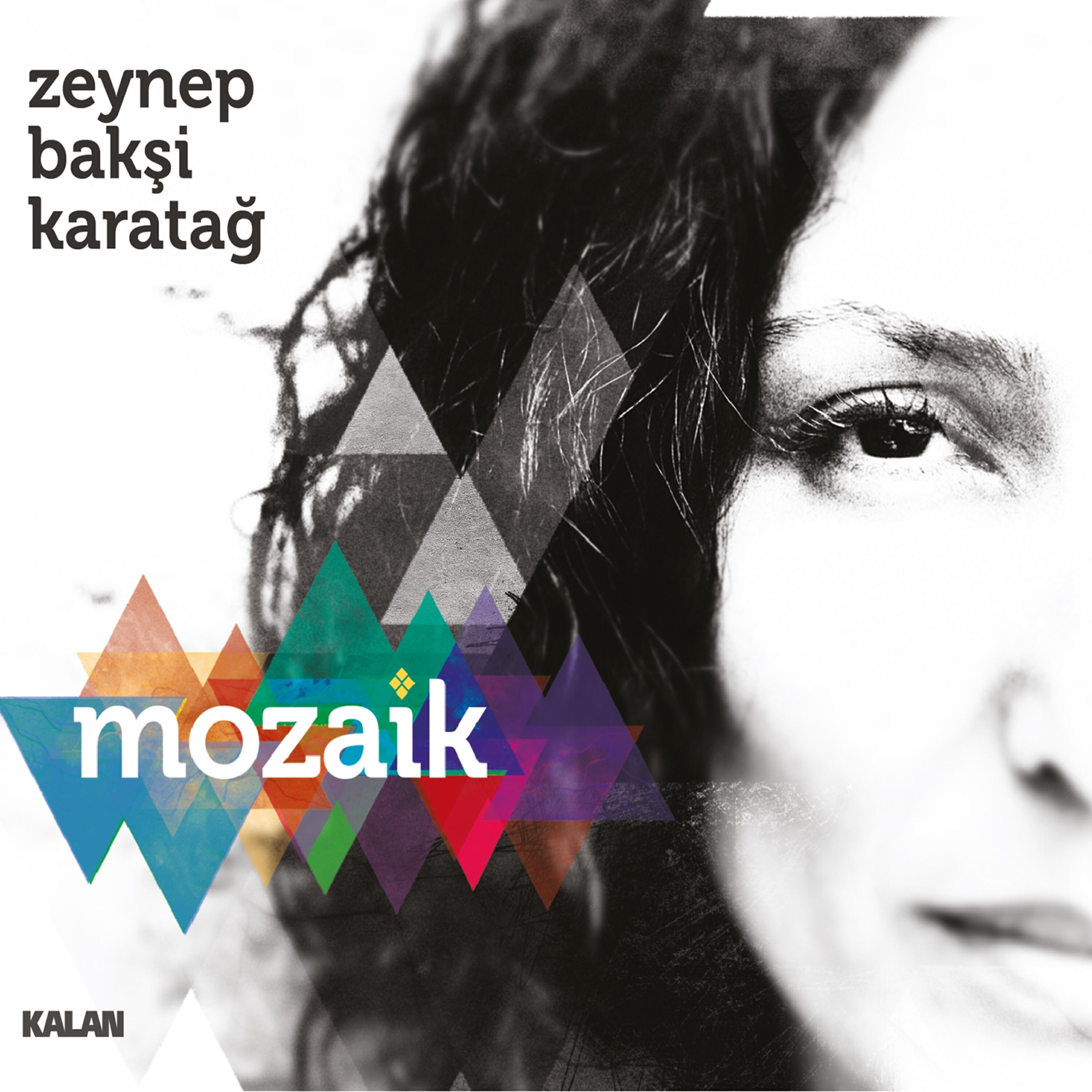 Постер альбома Mozaik