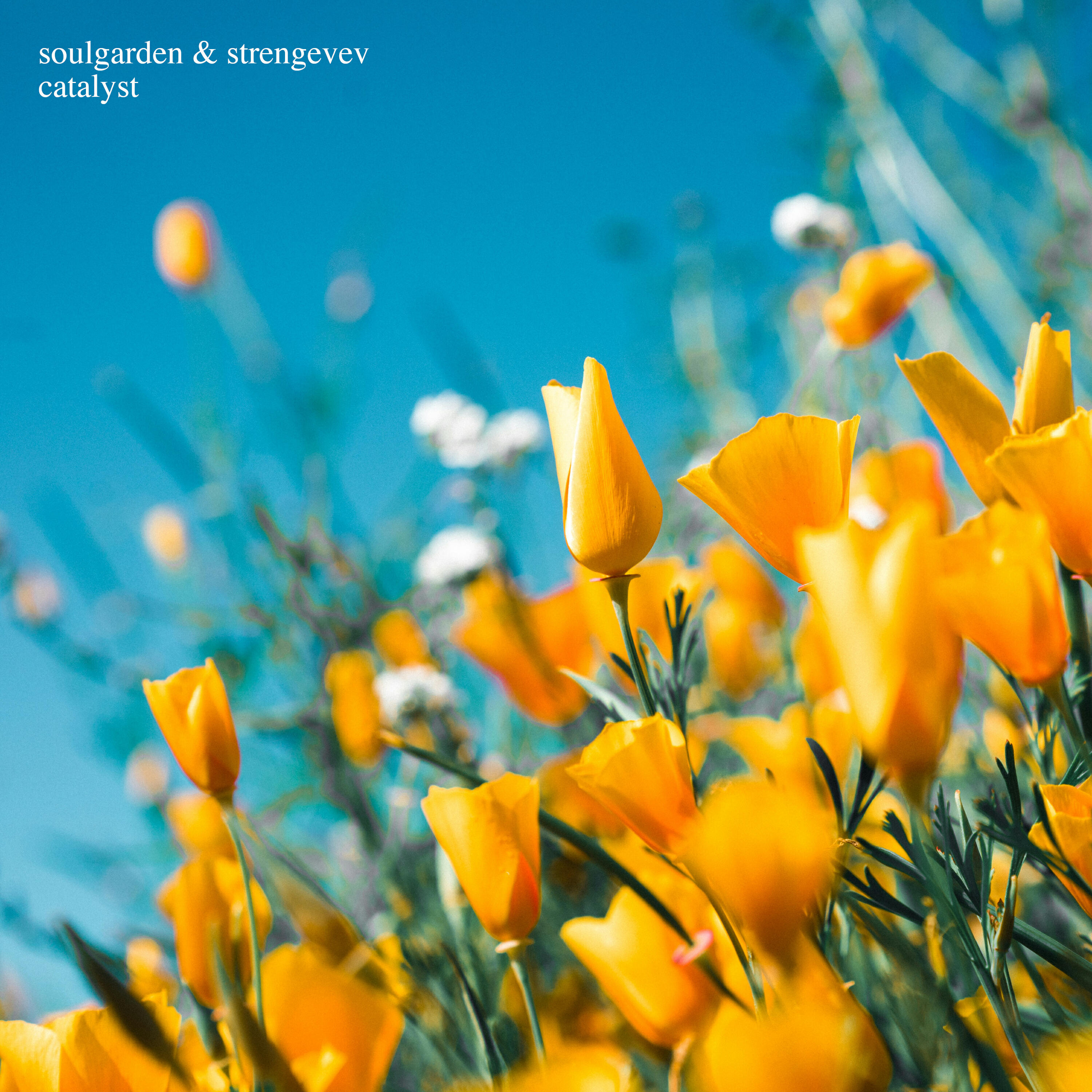 Soulgarden