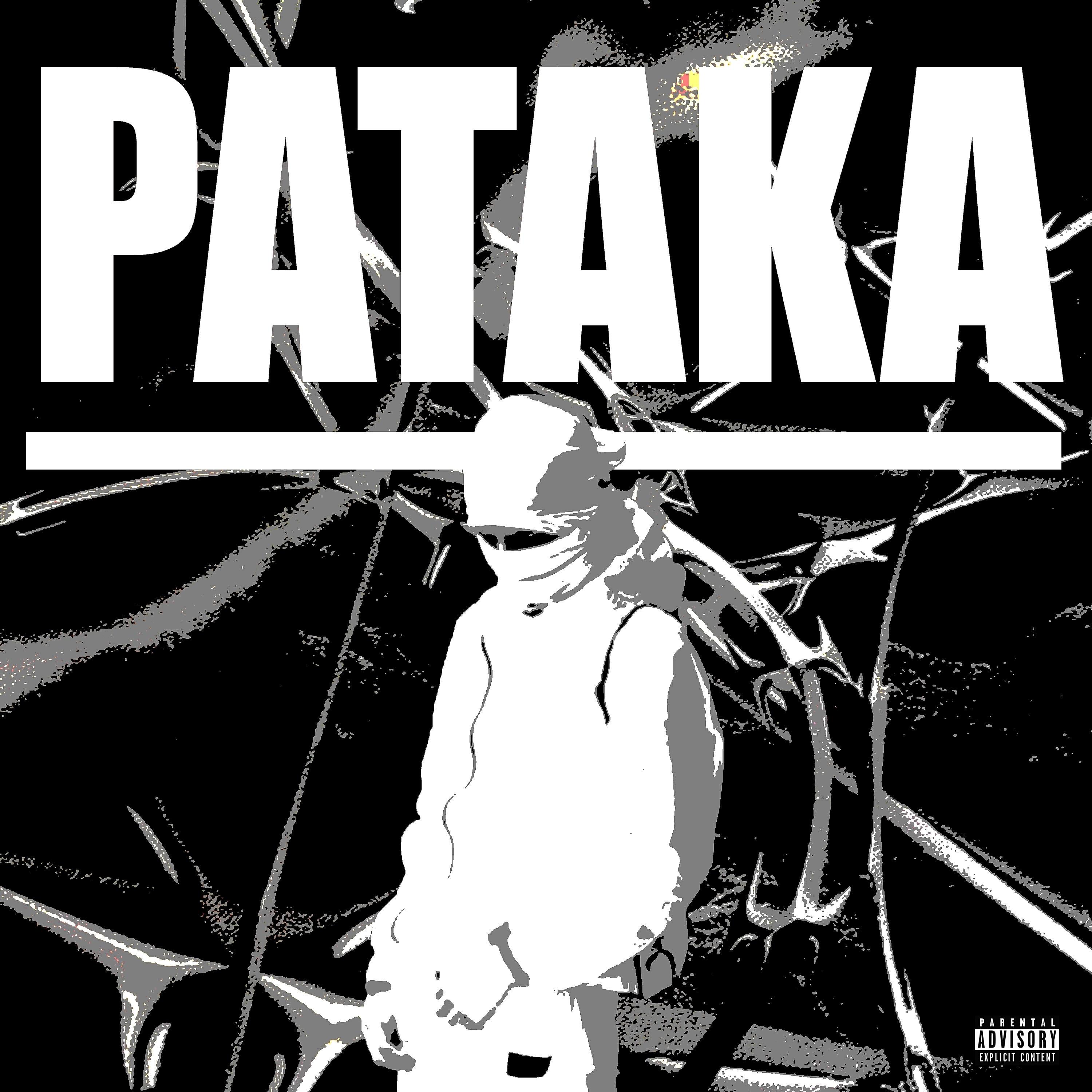 Релиз Pataka