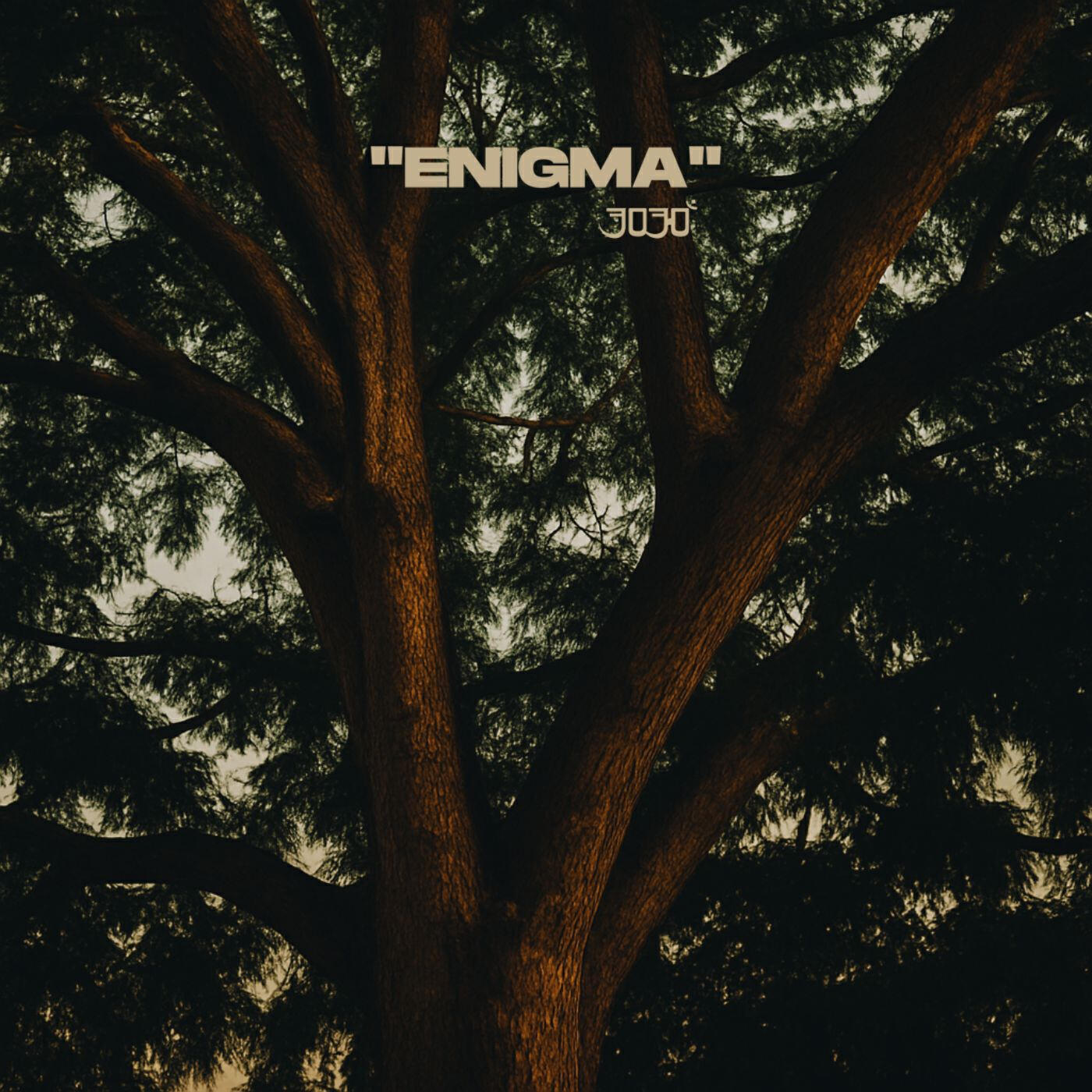 Релиз Enigma
