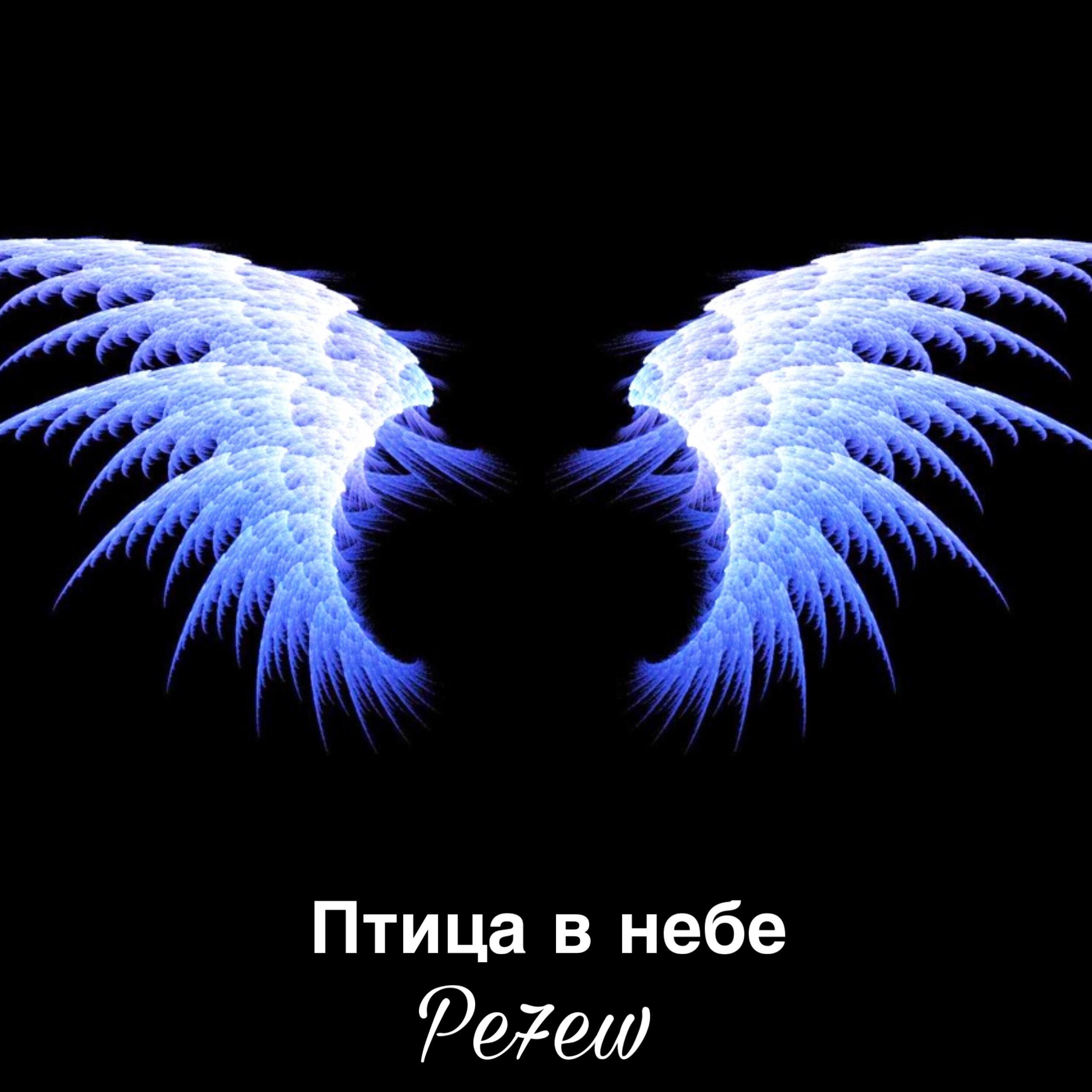 Релиз Птица в небе