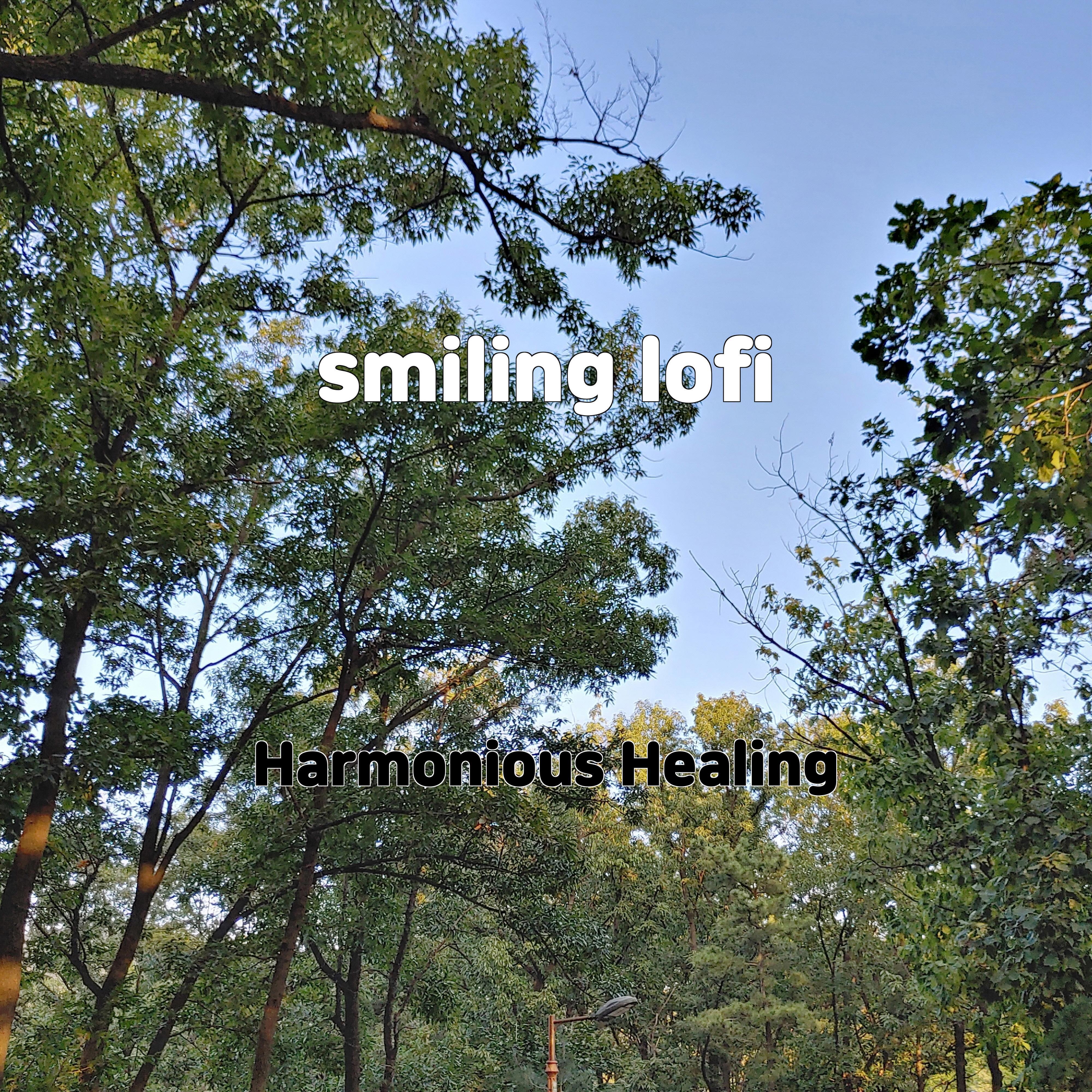 Релиз smiling lofi