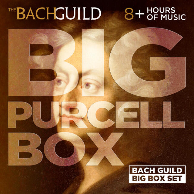 Релиз Big Purcell Box