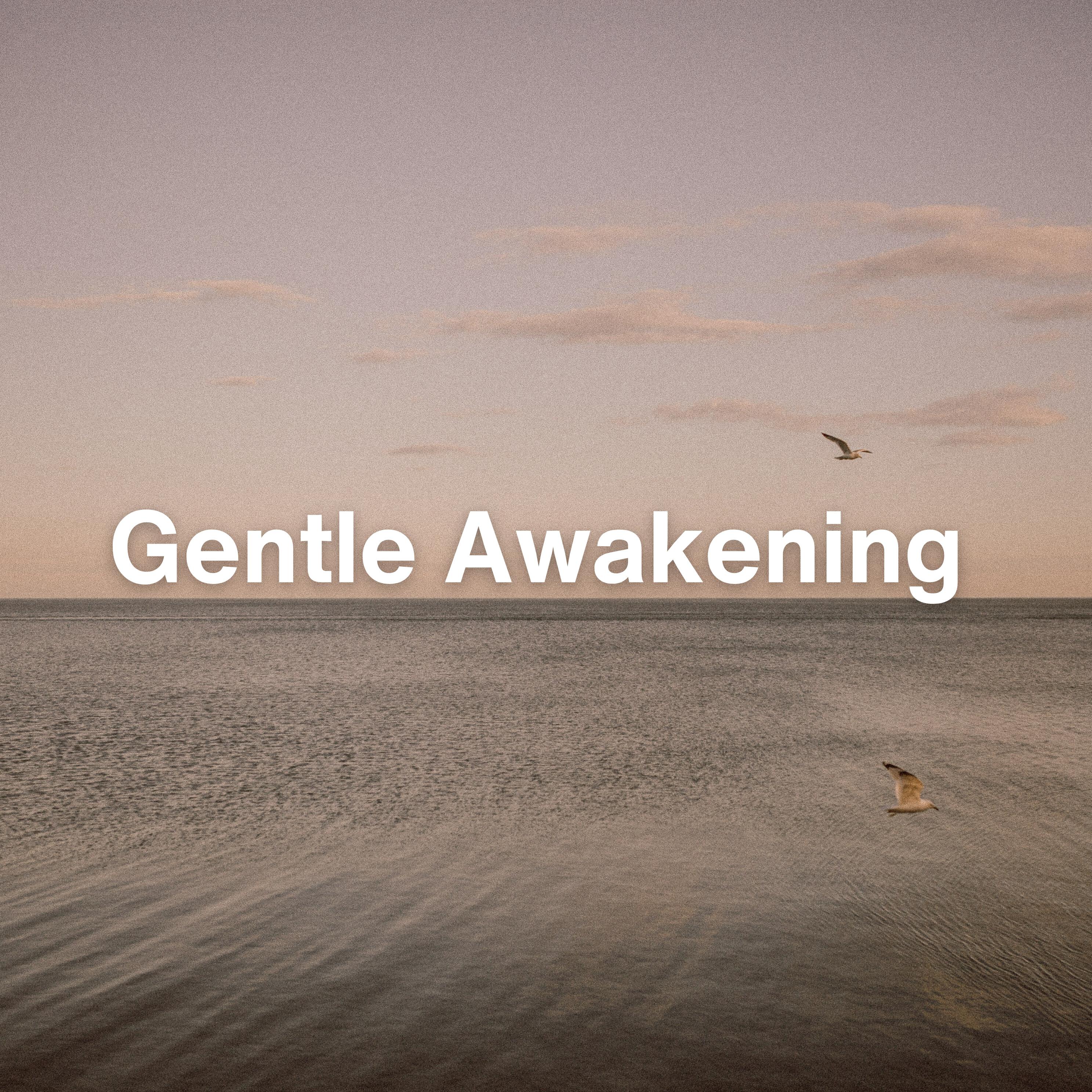 Релиз Gentle Awakening