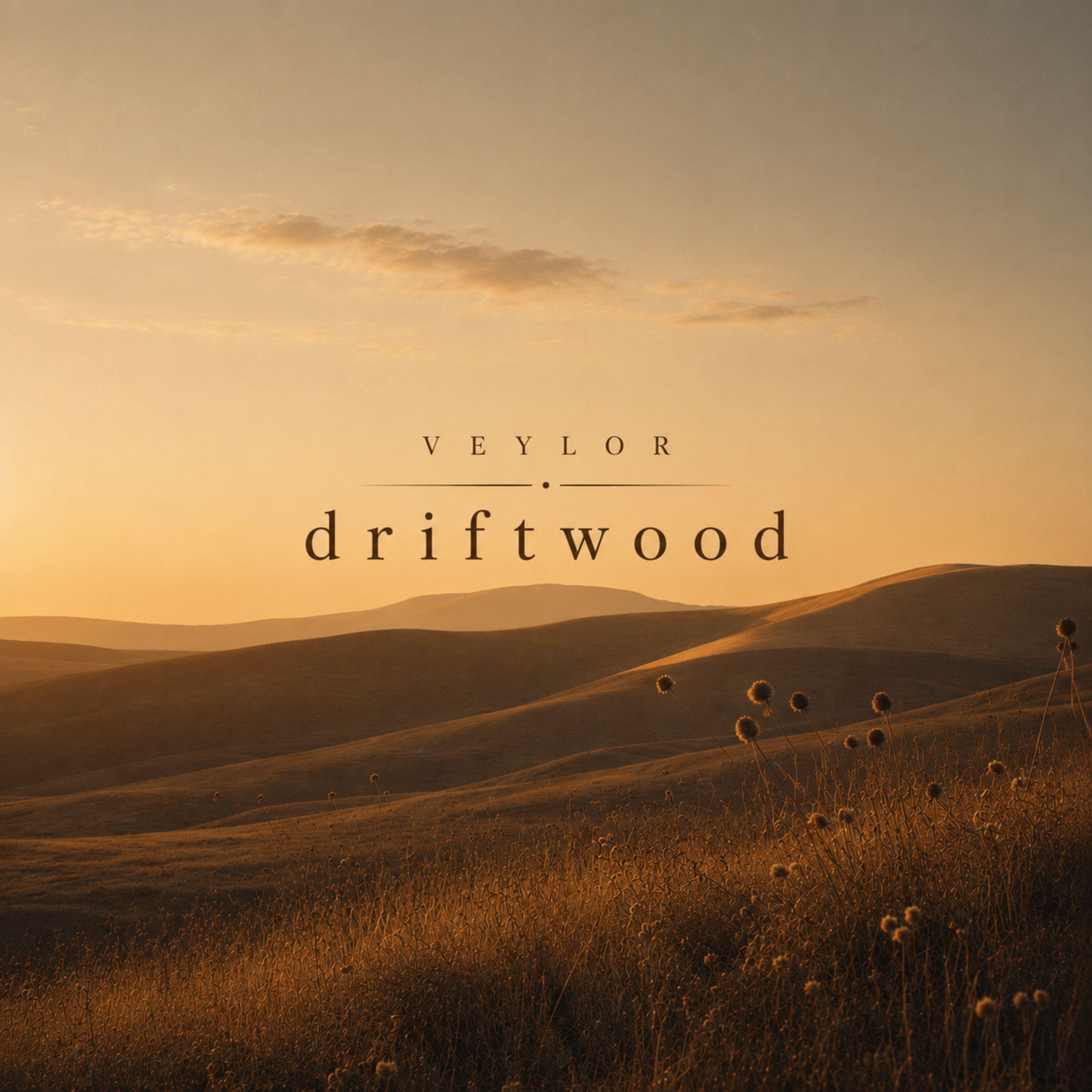 Релиз driftwood