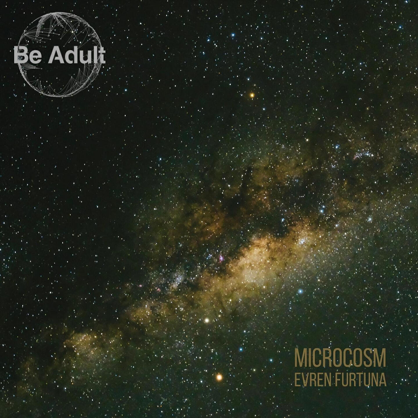 Релиз Microcosm
