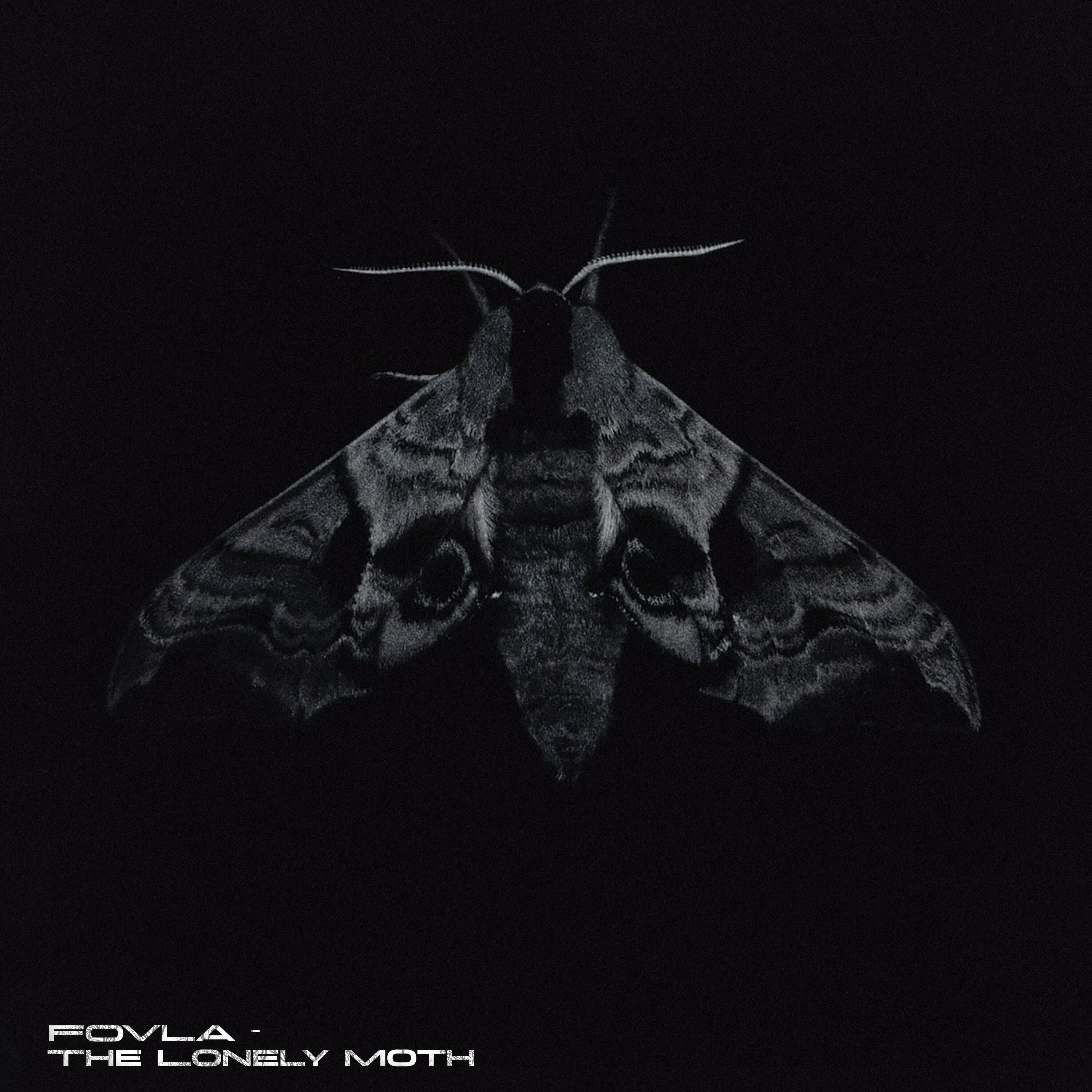 Релиз The Lonely Moth