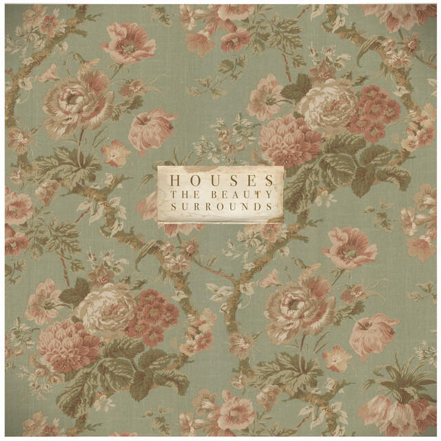 Релиз The Beauty Surrounds - Single