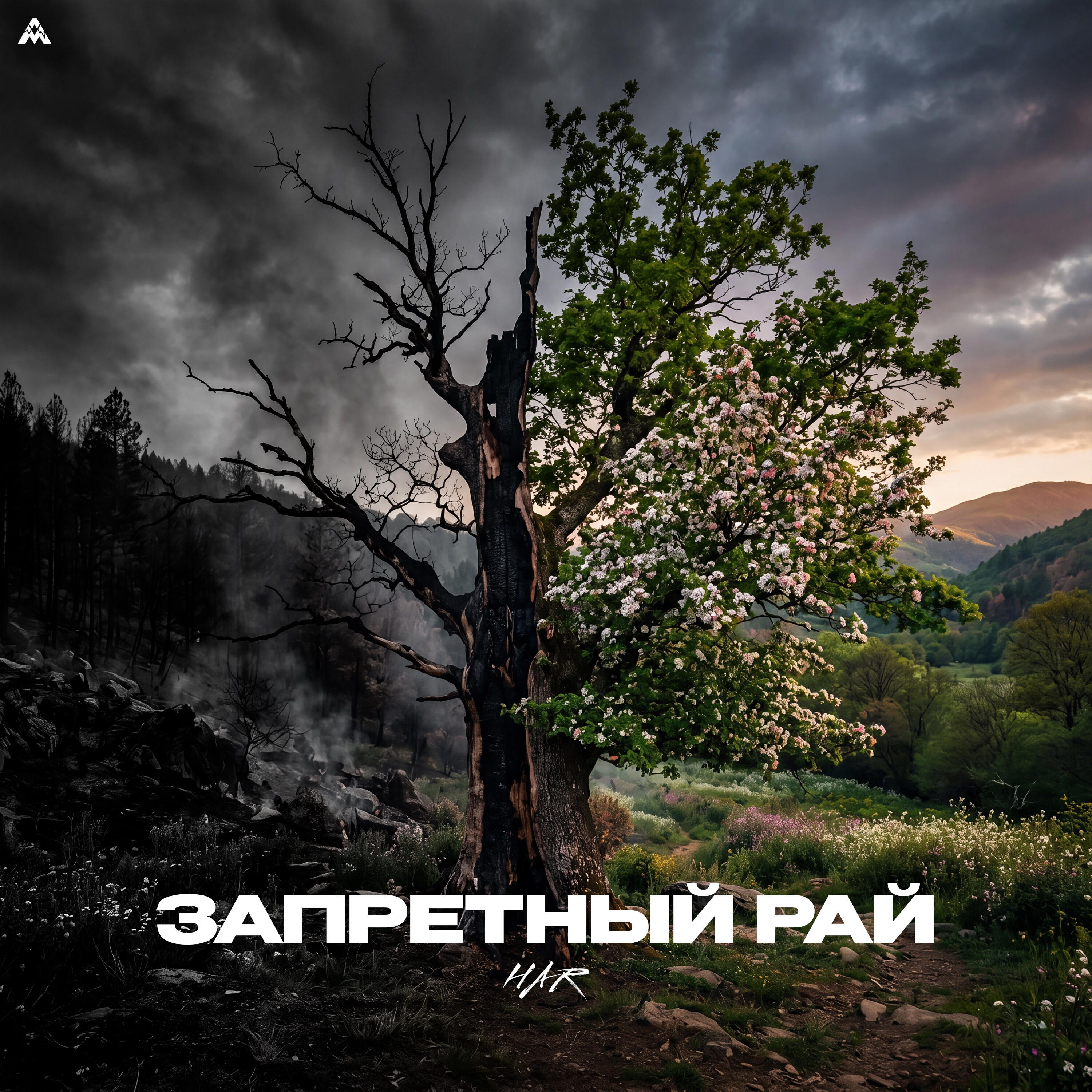 Релиз Запретный рай