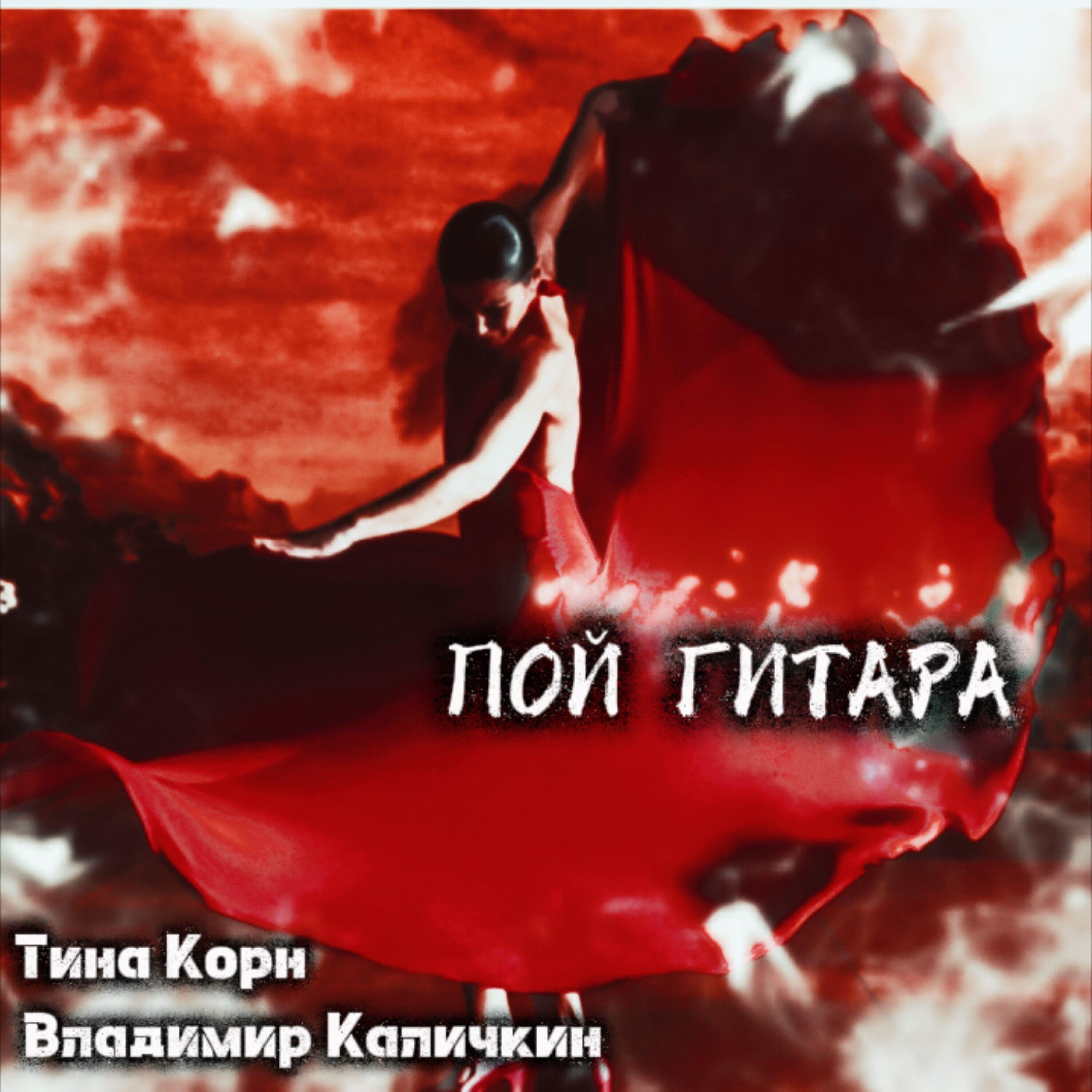 Владимир Каличкин