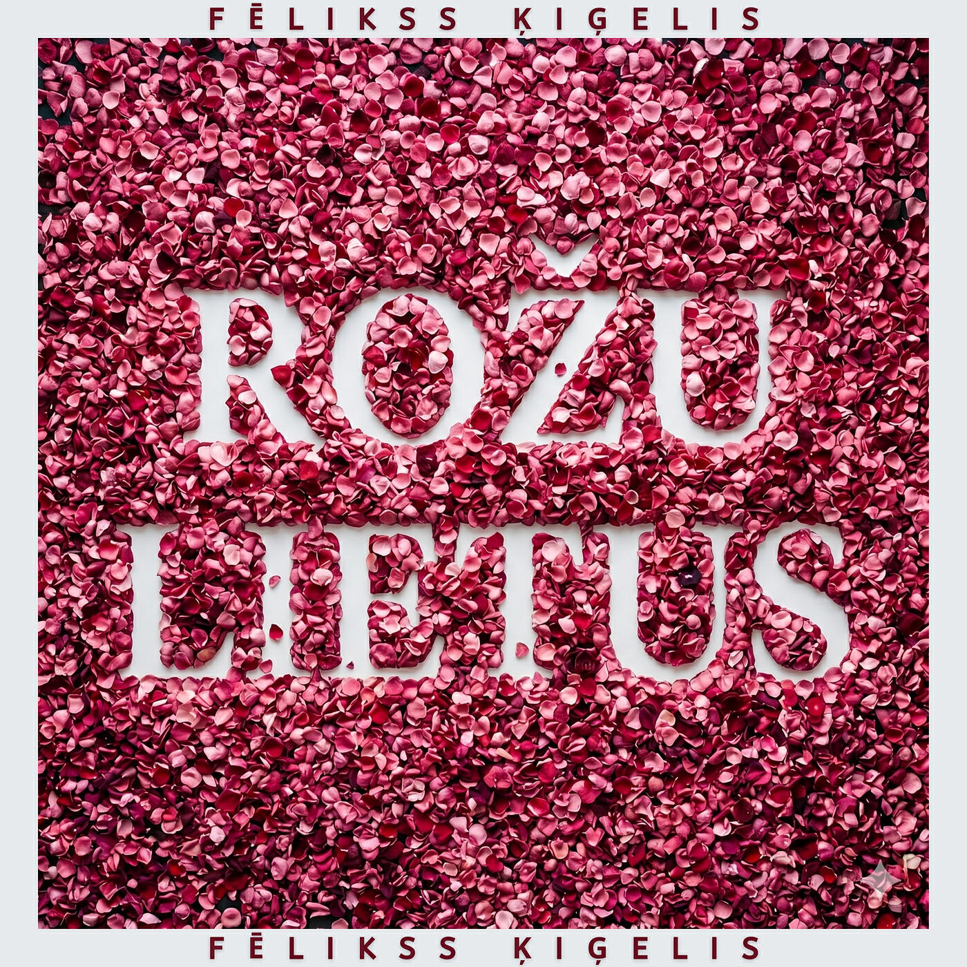 Релиз Rožu Lietus