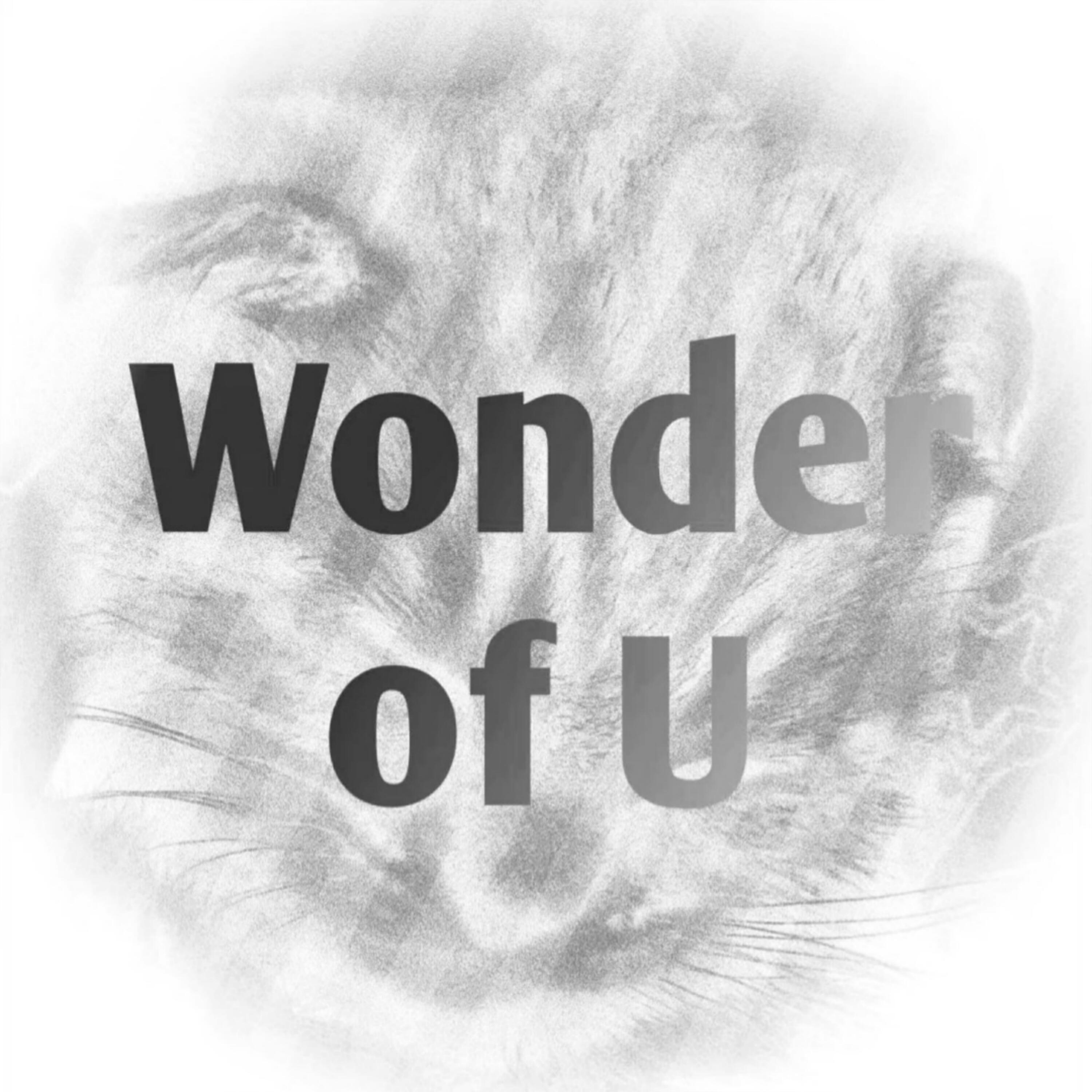 Релиз Wonder of U (Remix)