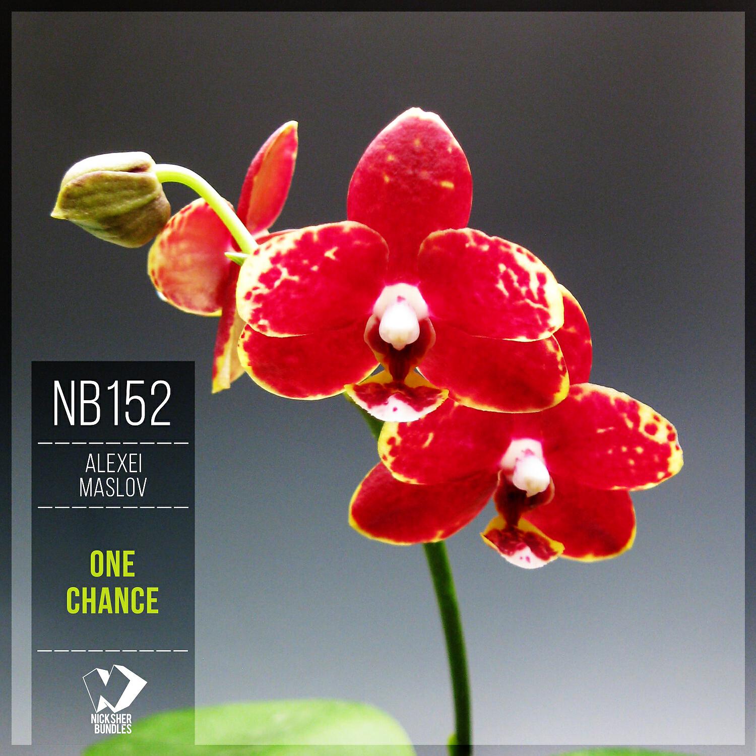 Релиз One Chance