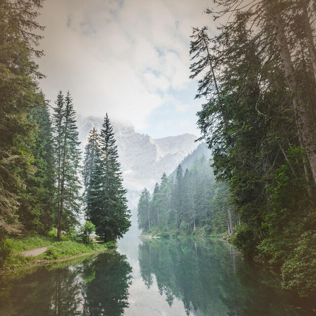 Релиз Peaceful Forest River with Relaxing Sounds for Clarity and Relaxation