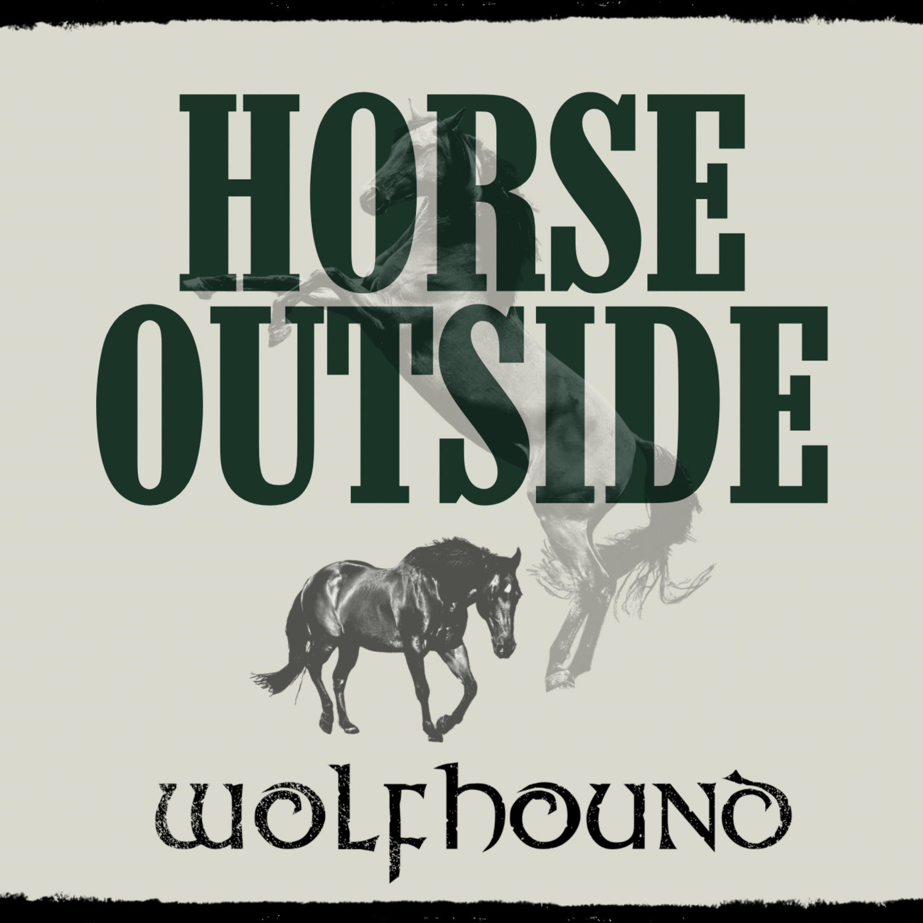 Релиз Horse Outside