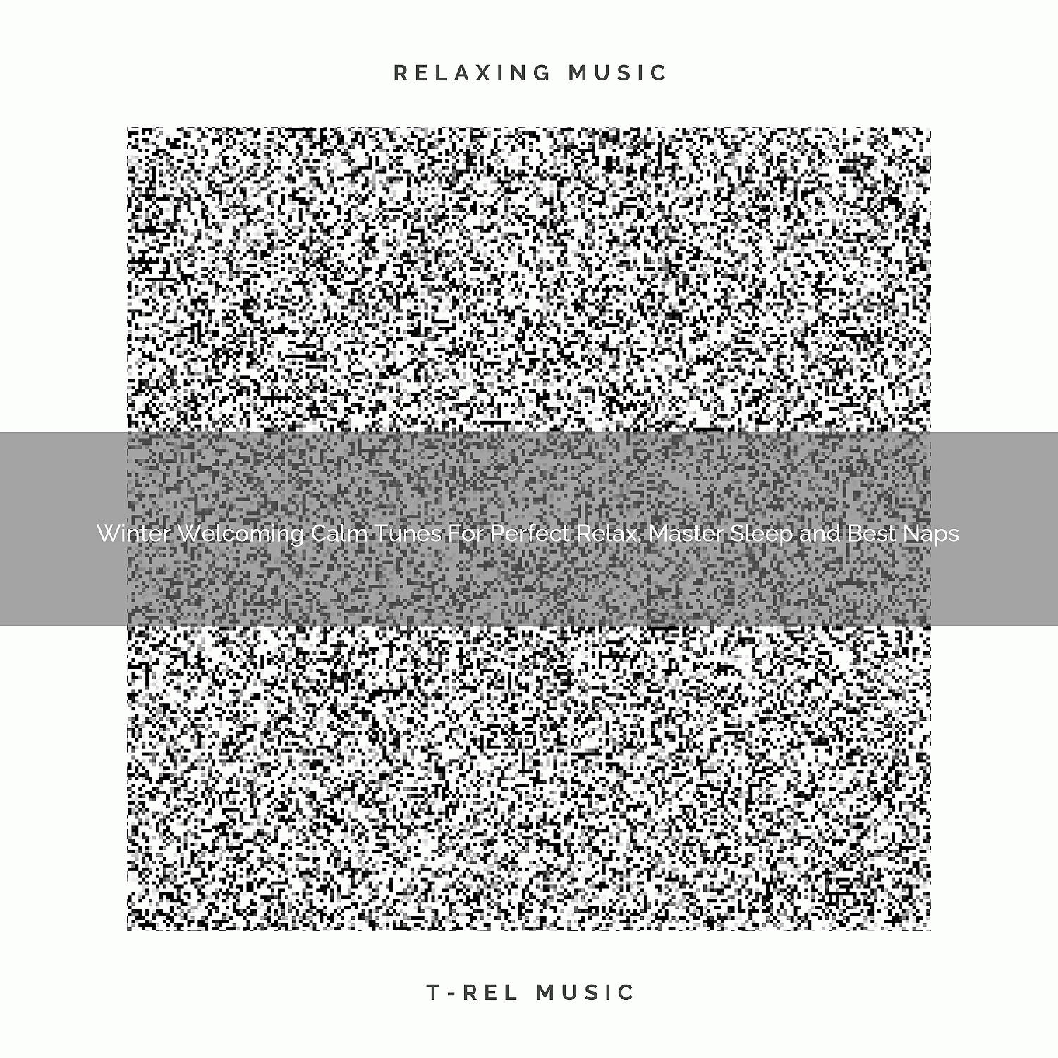 Релиз Winter Welcoming Calm Tunes For Perfect Relax, Master Sleep and Best Naps