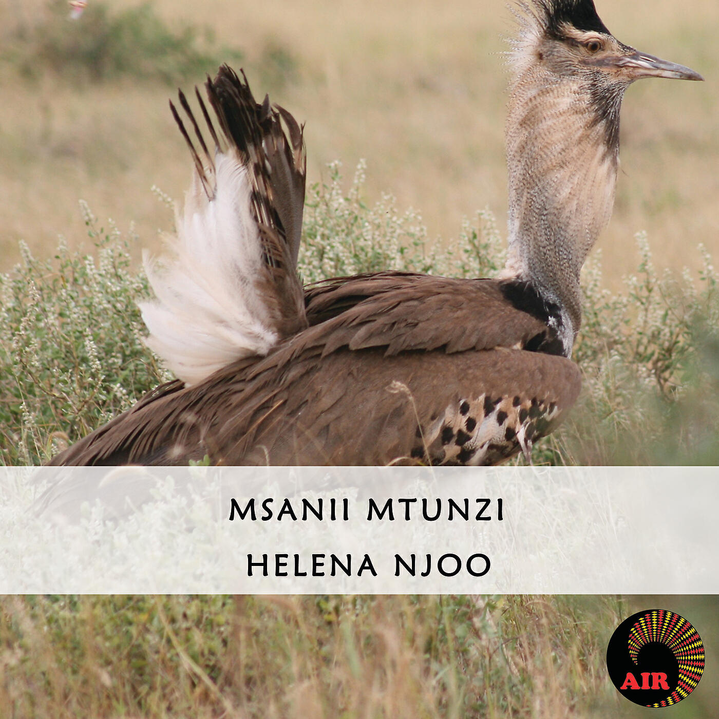 Релиз Helena Njoo