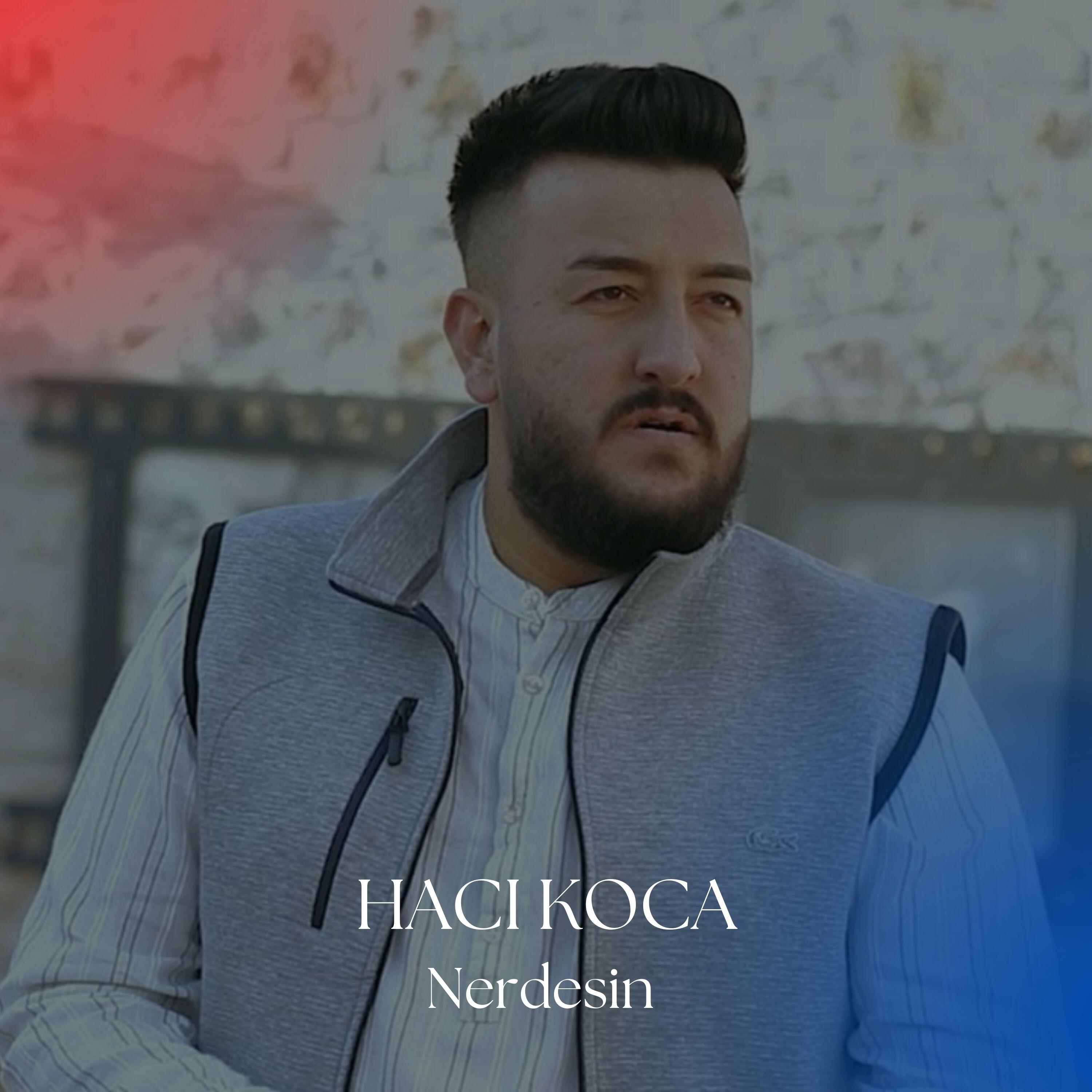 Релиз Nerdesin