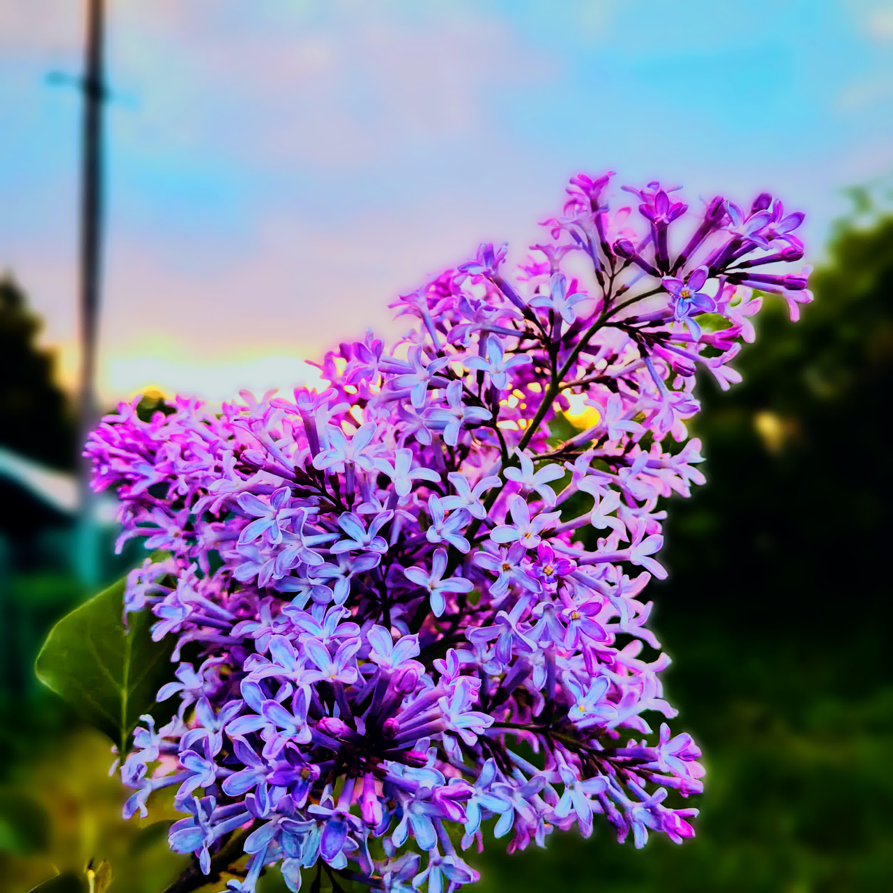 Релиз Благородные дела
