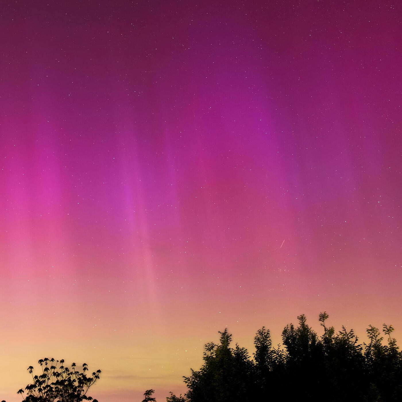 Релиз Aurora