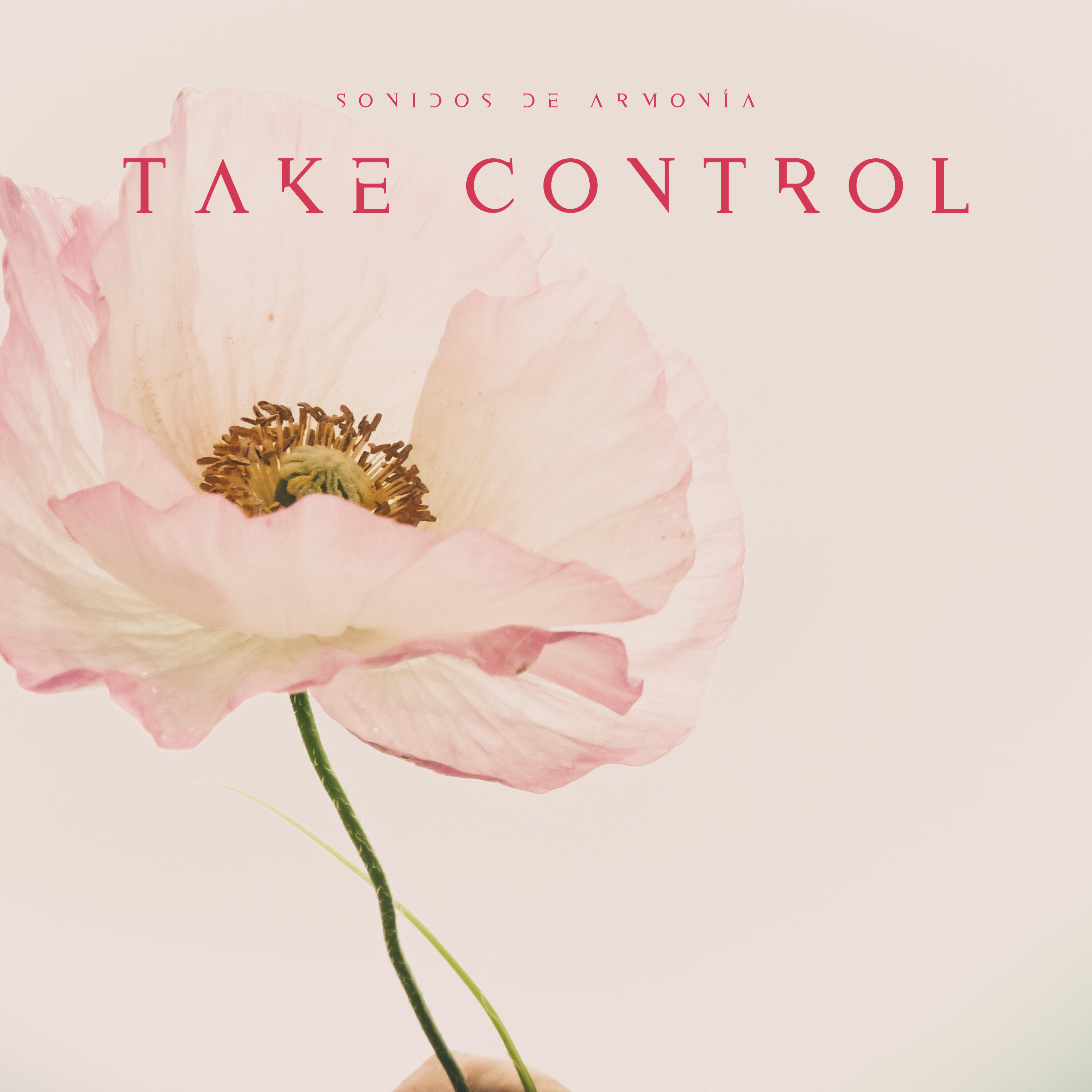 Релиз Take Control