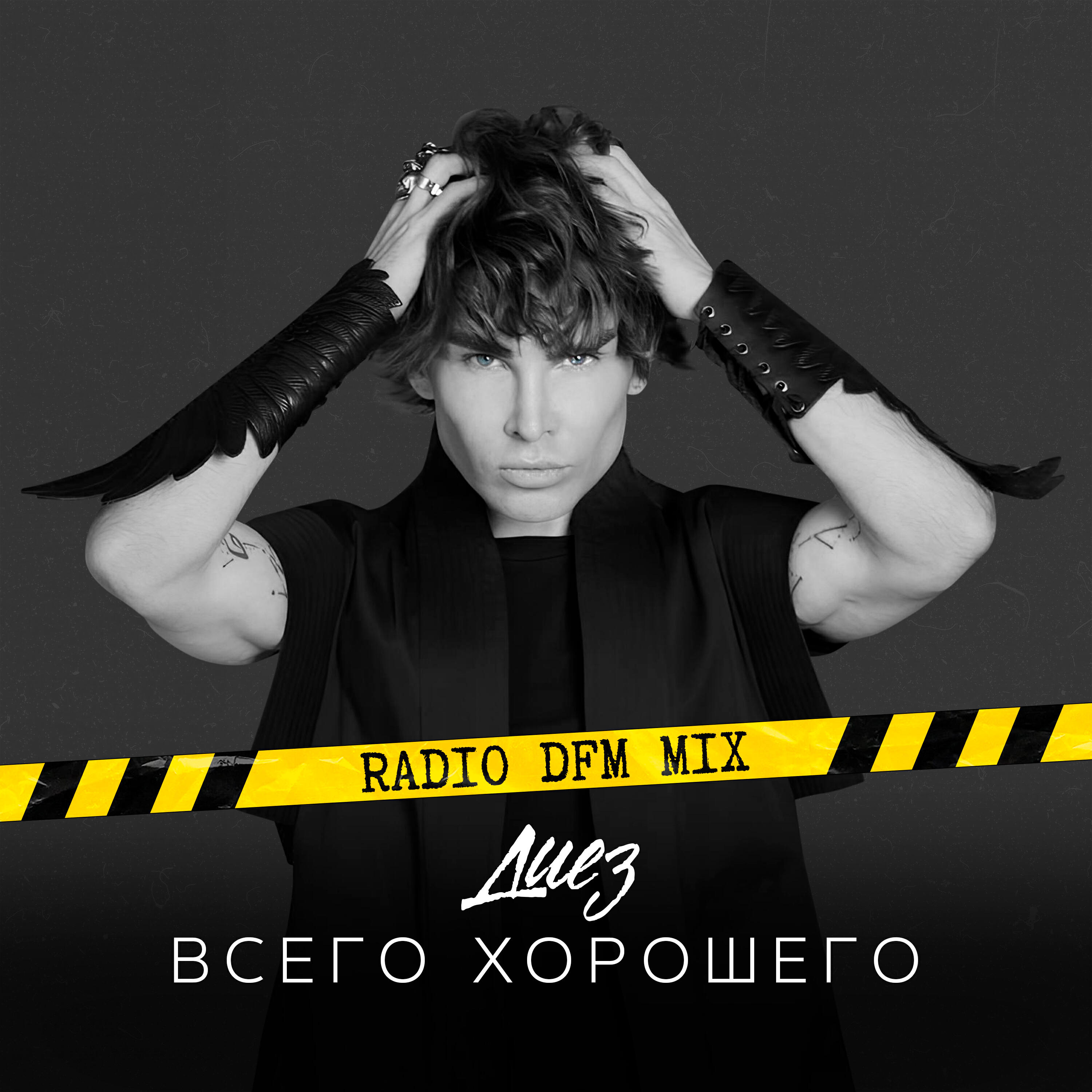 Релиз Всего хорошего (Radio DFM Mix)
