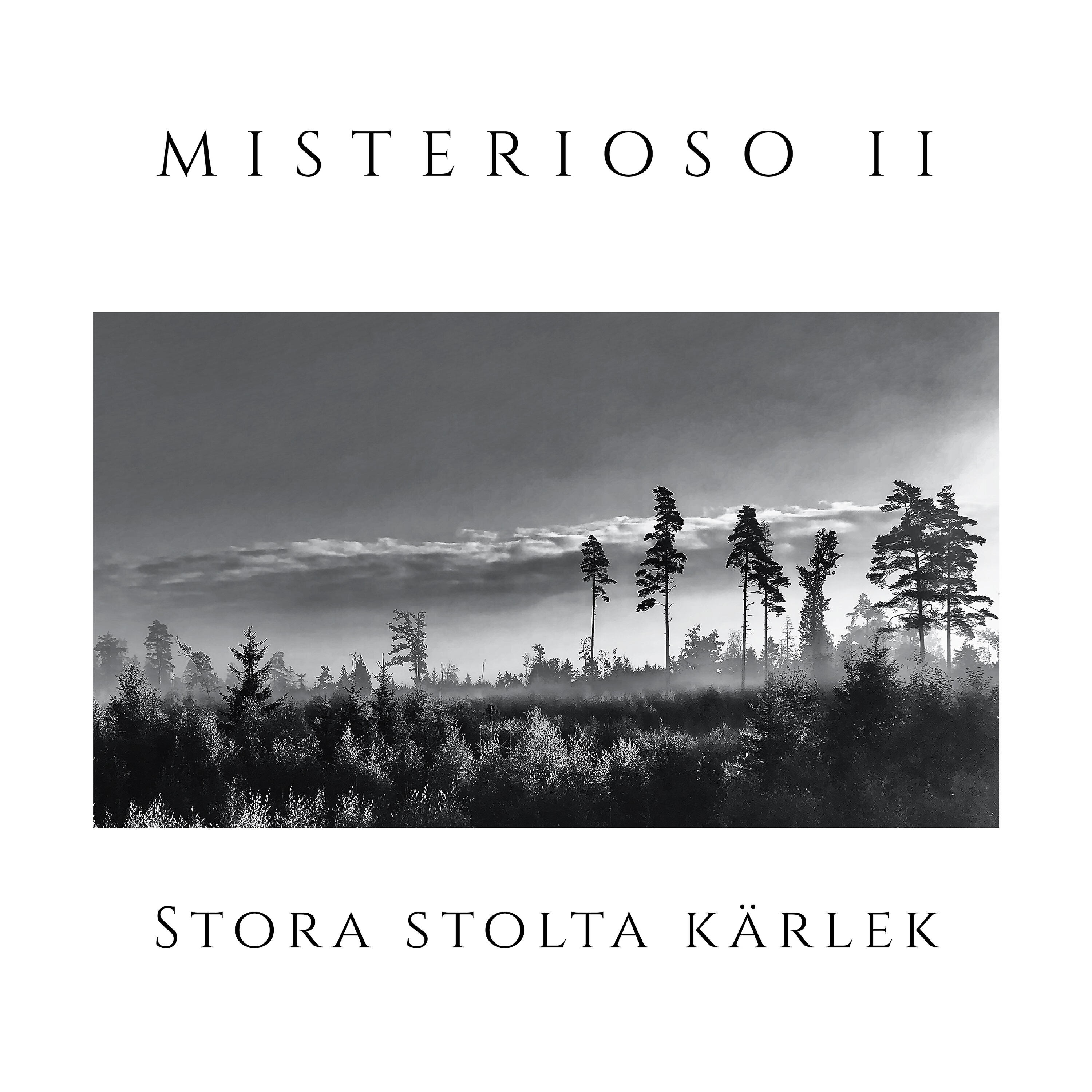 Релиз Stora stolta kärlek