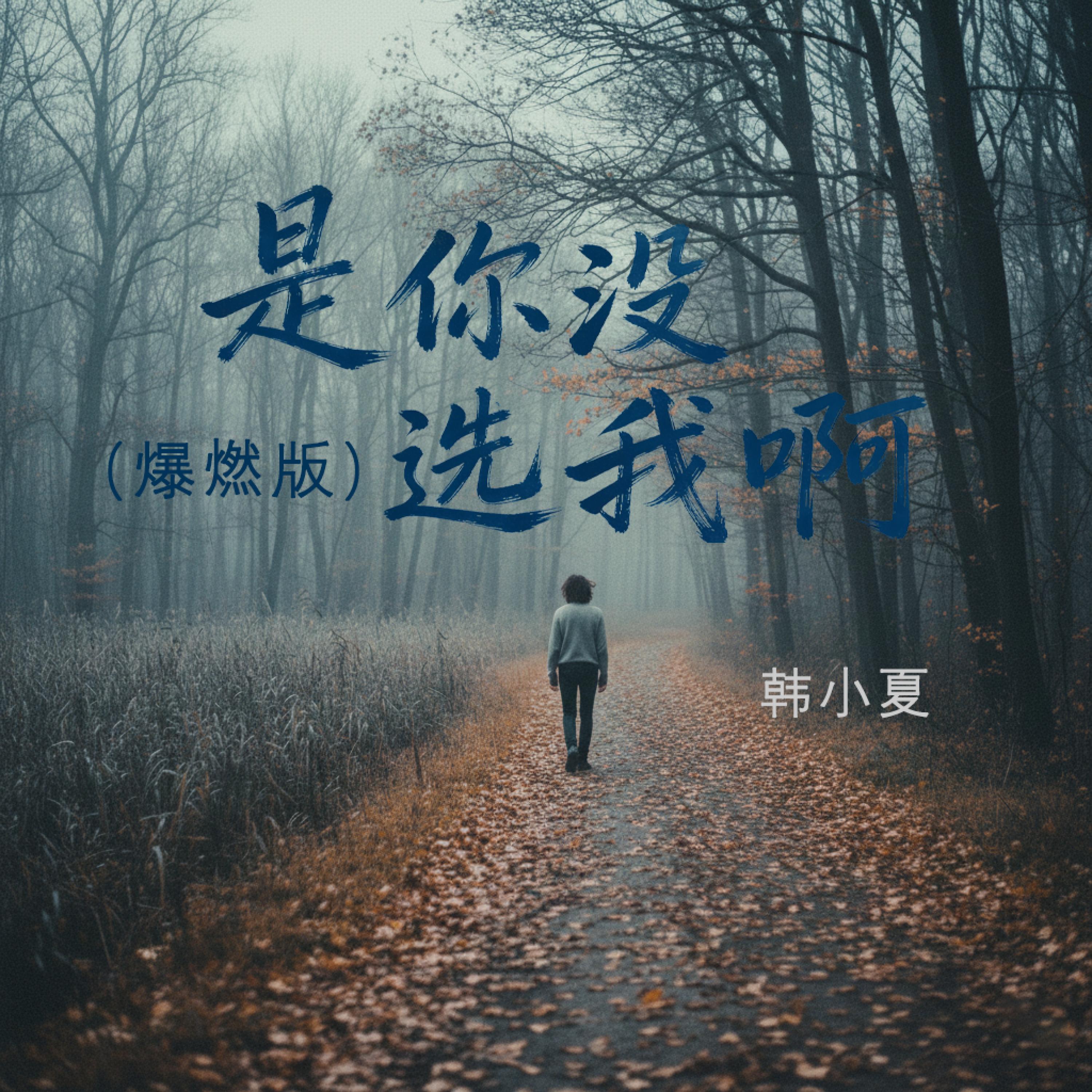 Релиз 是你没选我啊