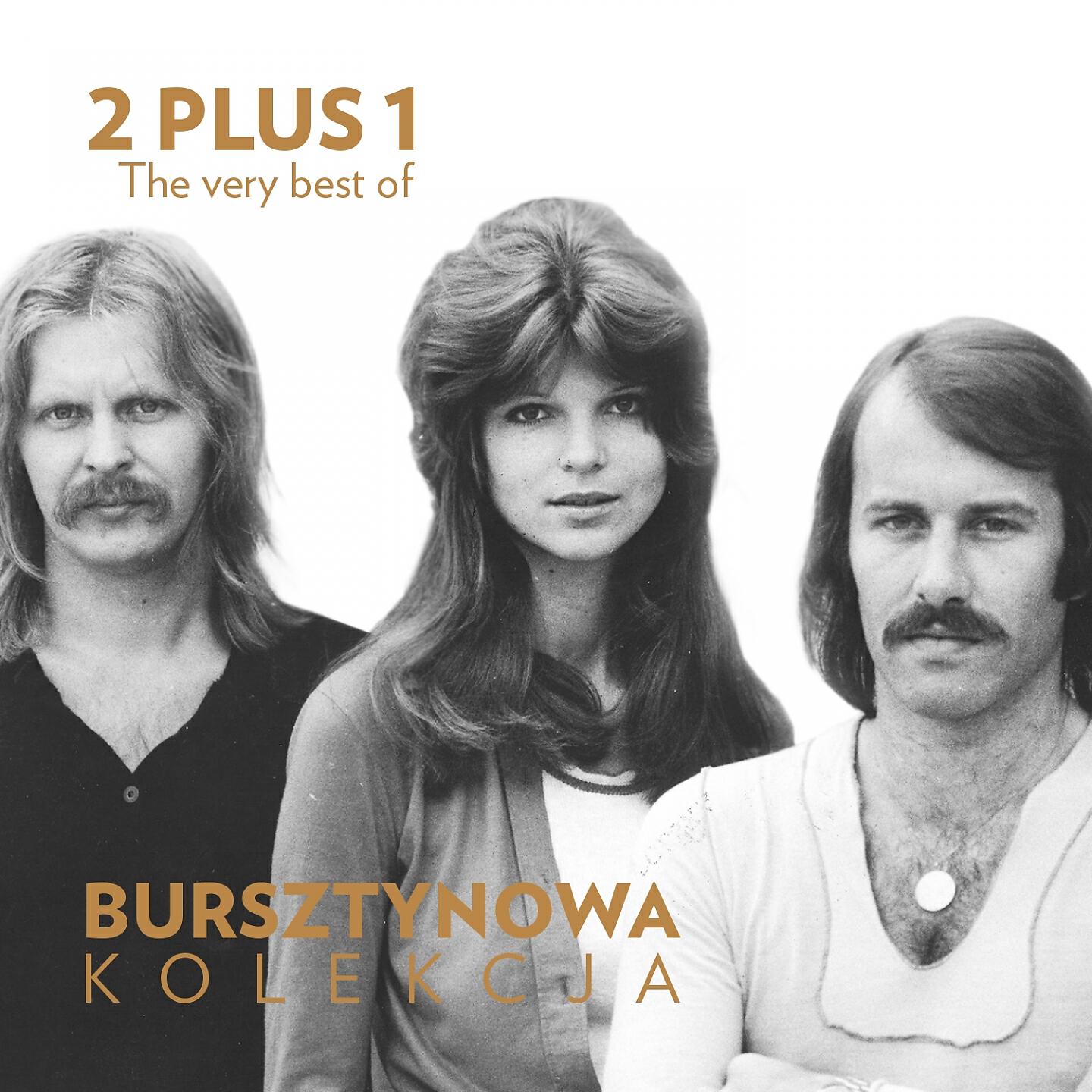 Релиз The Very Best of 2 Plus 1