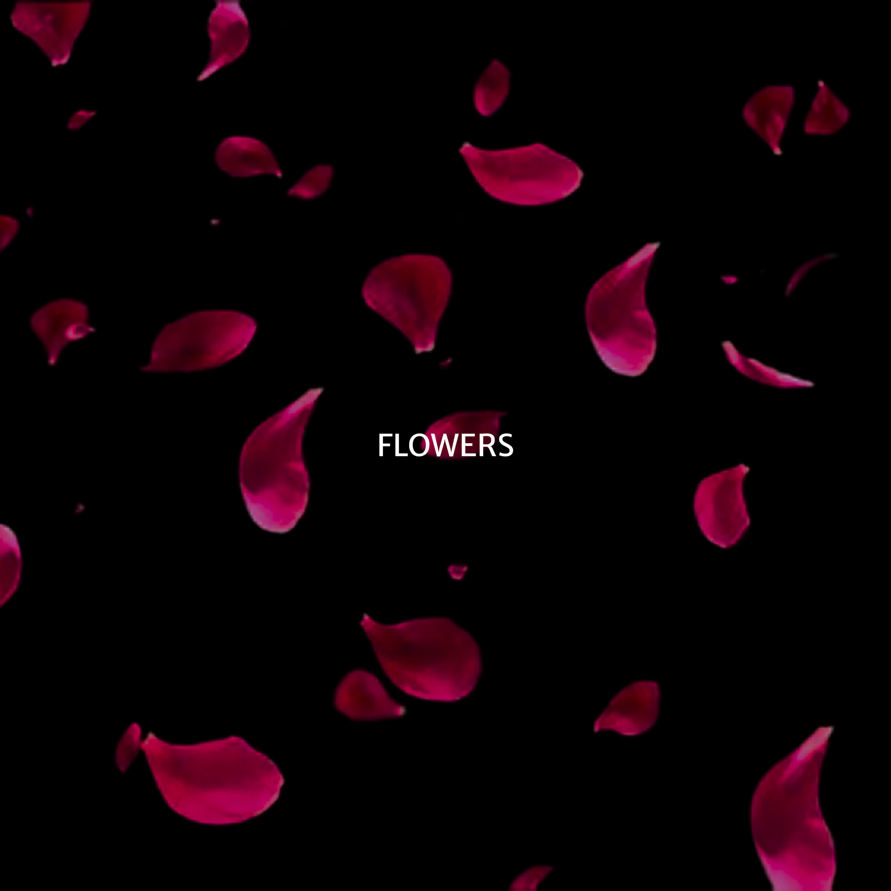 Релиз Flowers