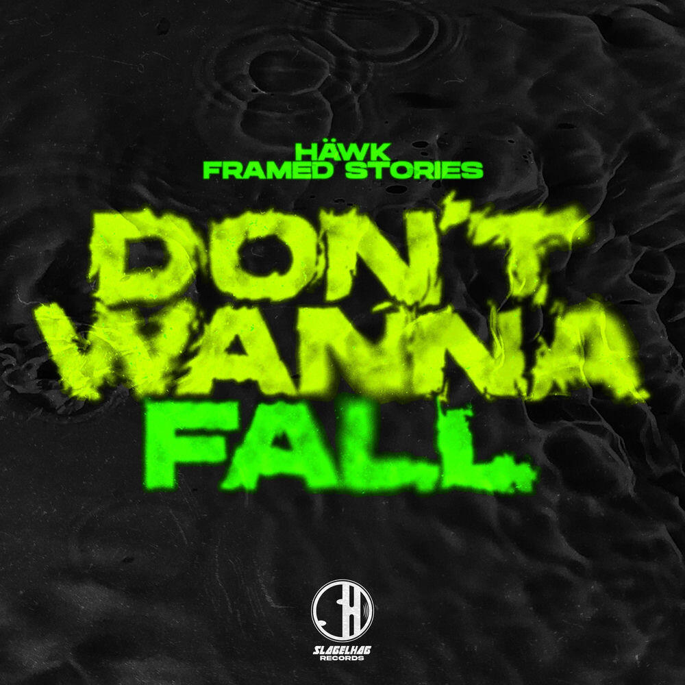 Релиз Don't Wanna Fall