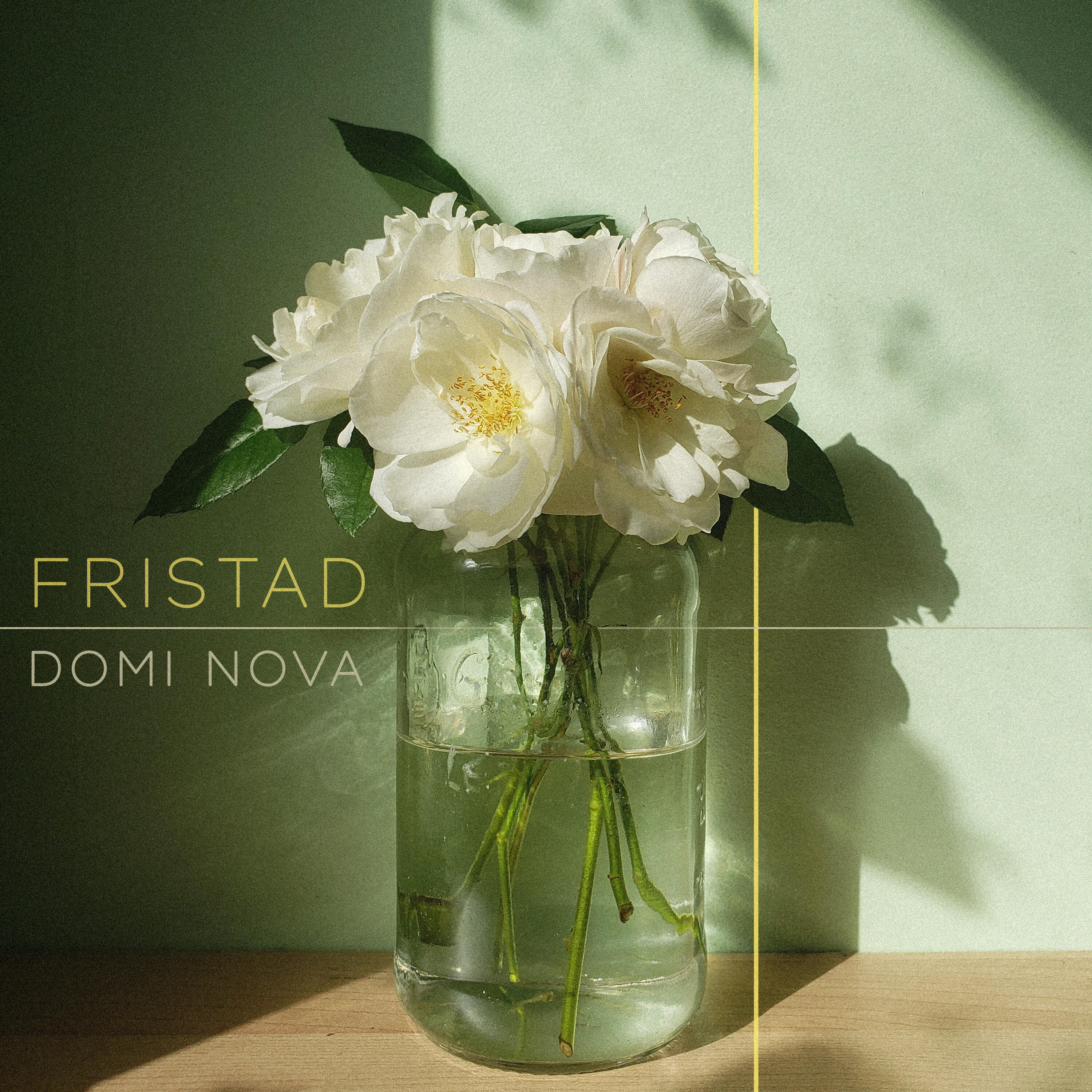 Релиз Fristad