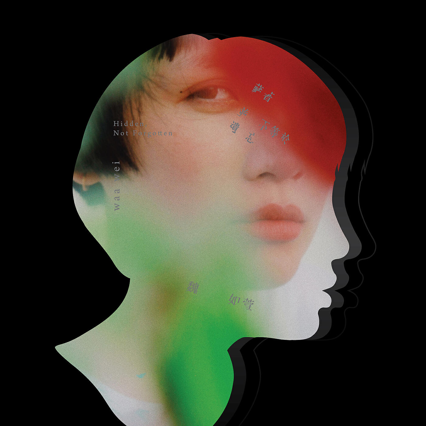 Релиз Hidden, Not Forgotten