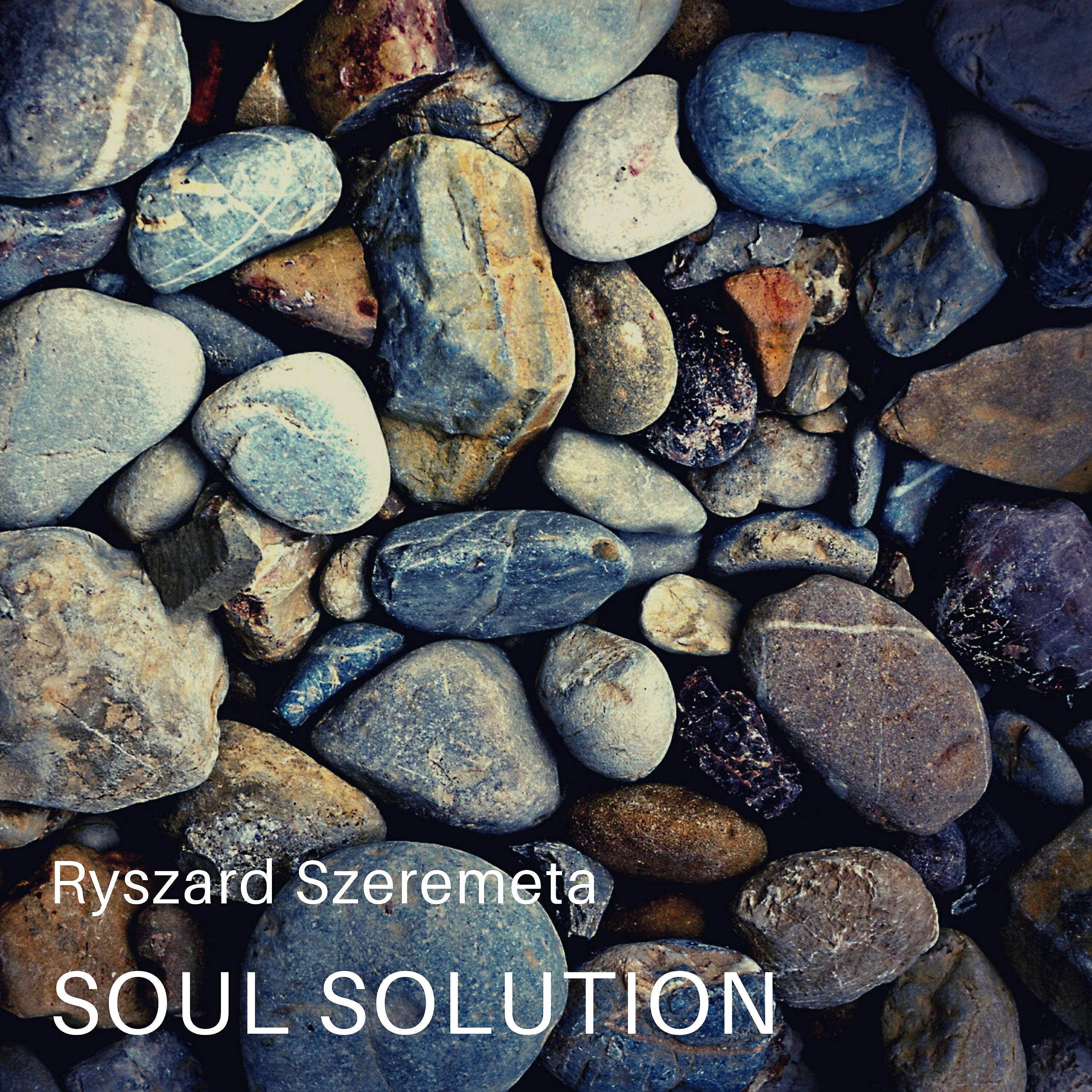 Релиз Soul Solution