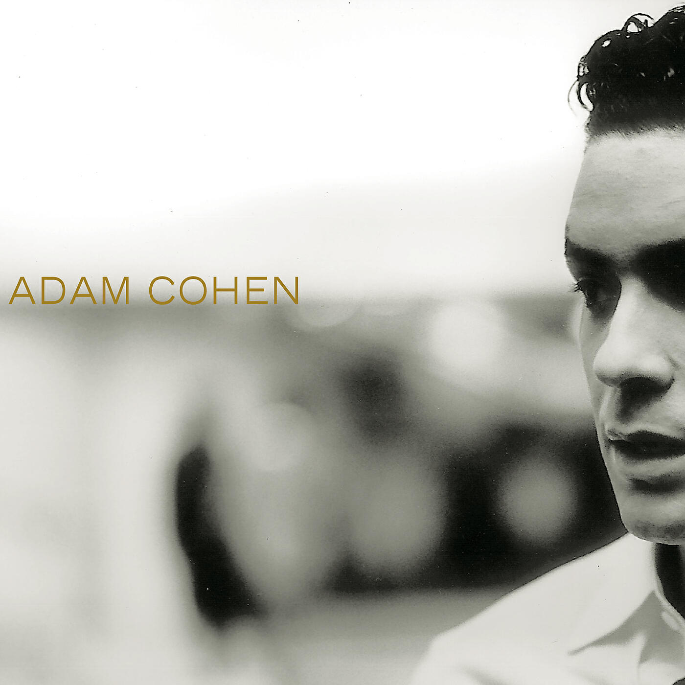 Релиз Adam Cohen