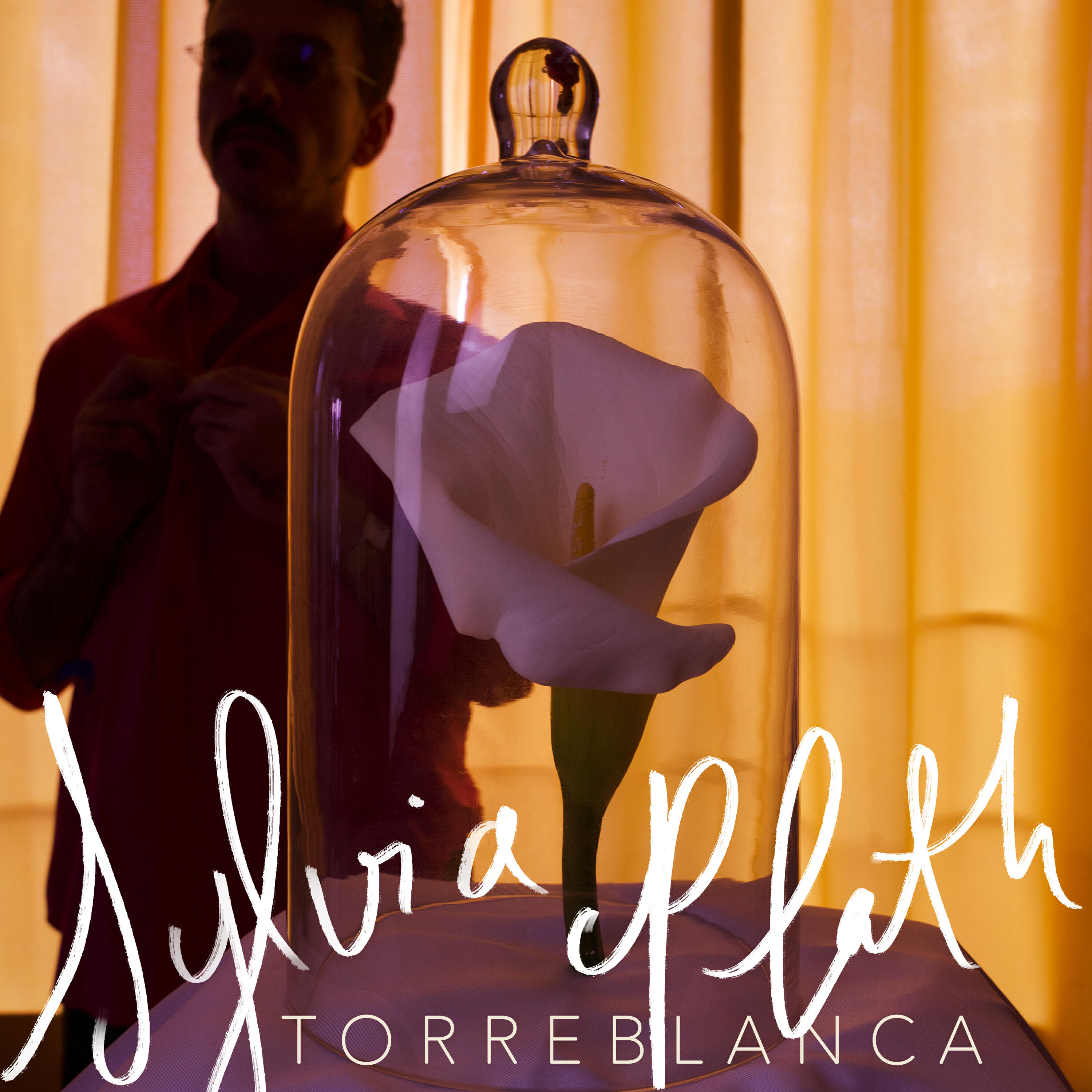 Релиз Sylvia Plath