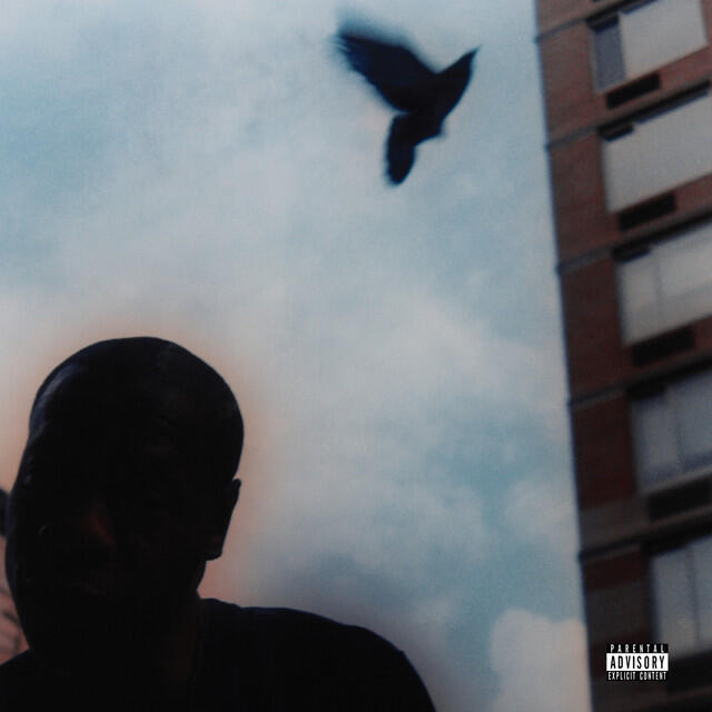 Релиз The Pearl