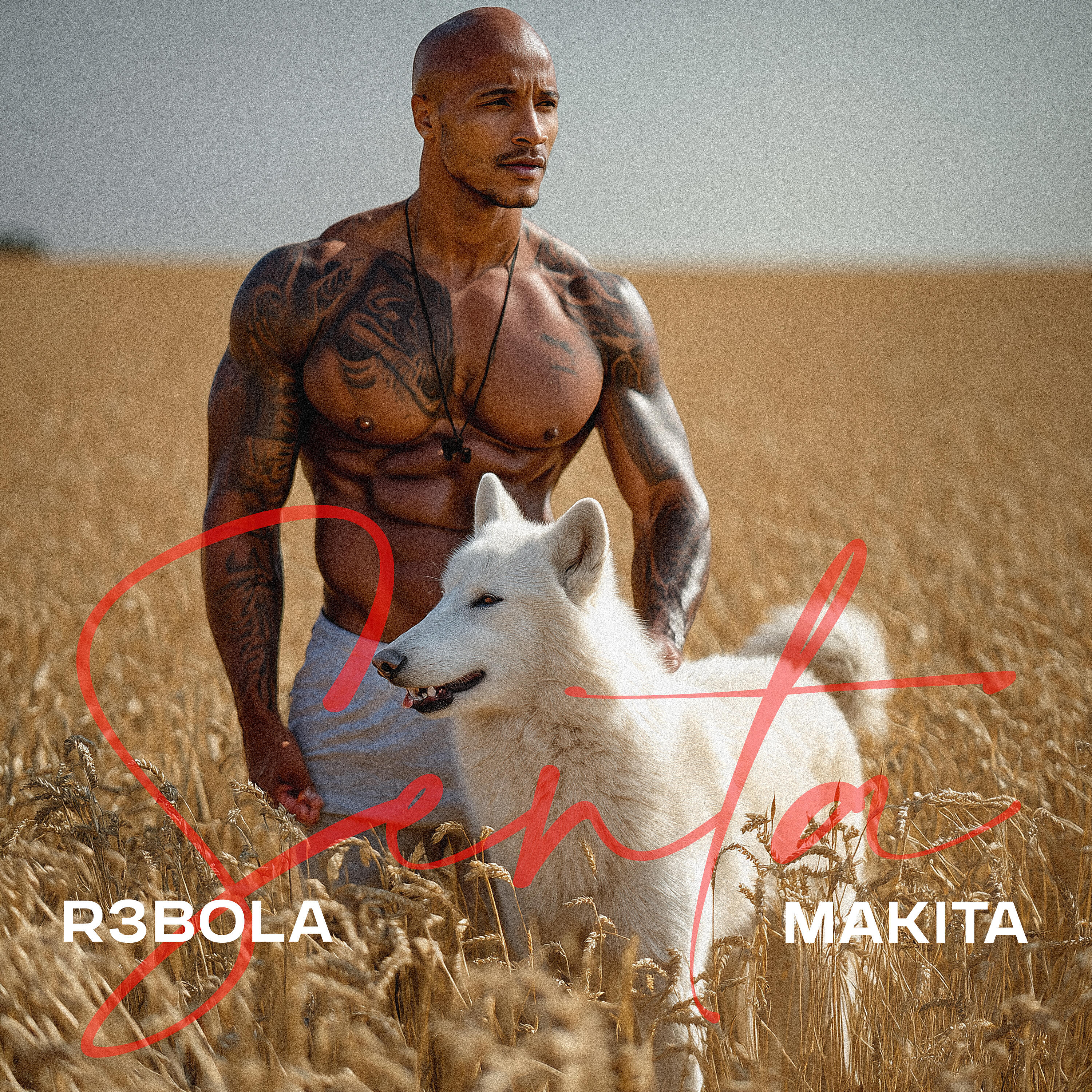 Релиз Senta