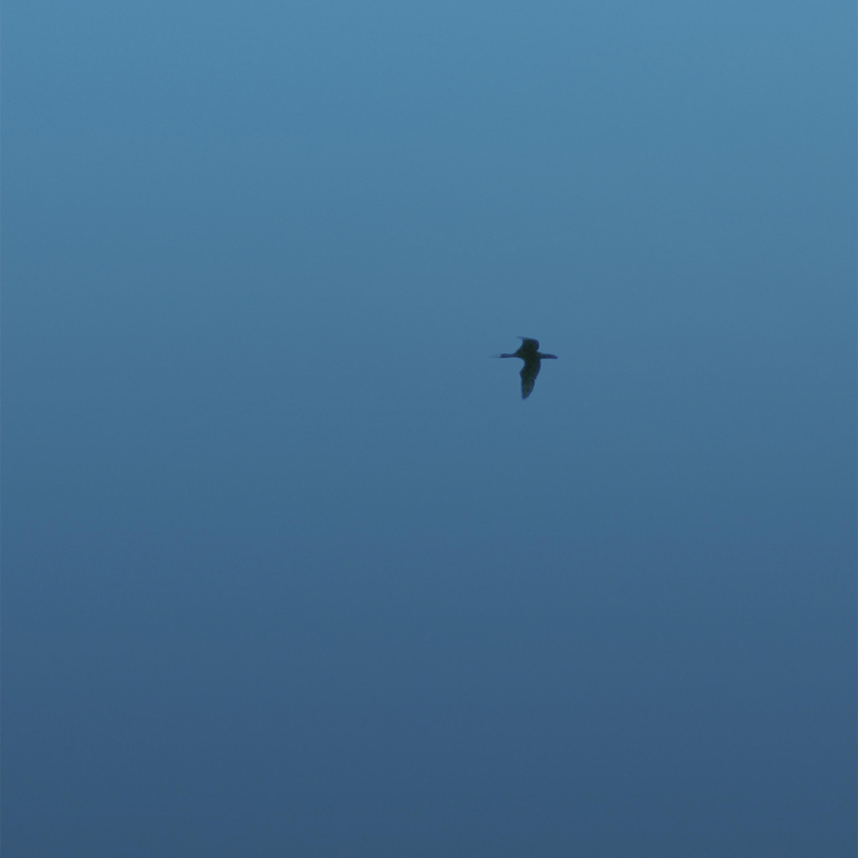 Релиз The Isle Of Wight EP