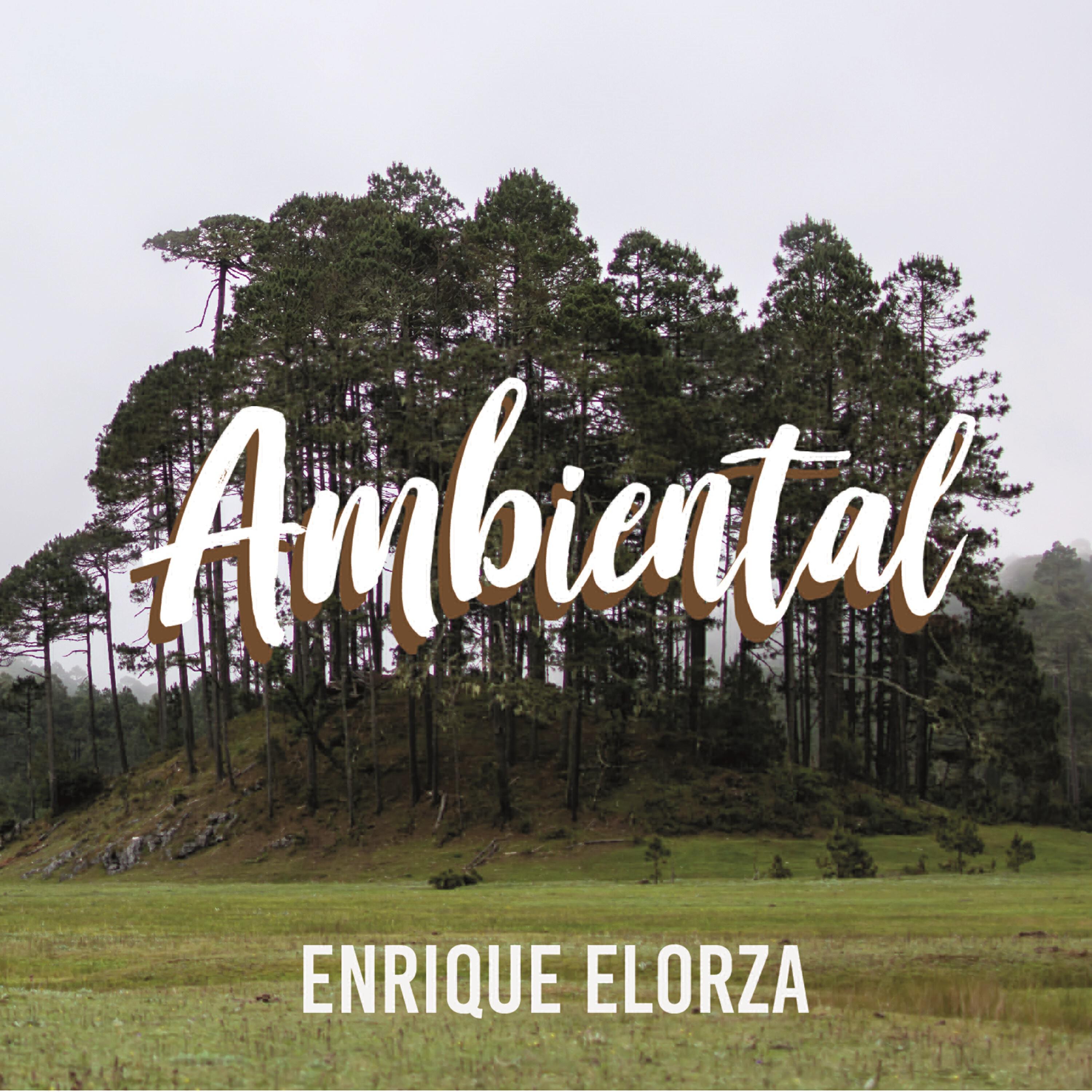 Релиз Ambiental