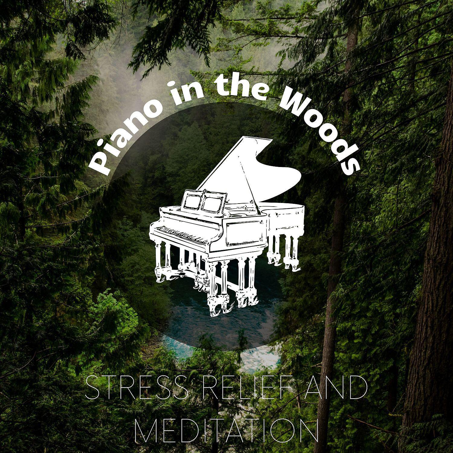 Релиз Piano Music for Stress Relief and Meditation